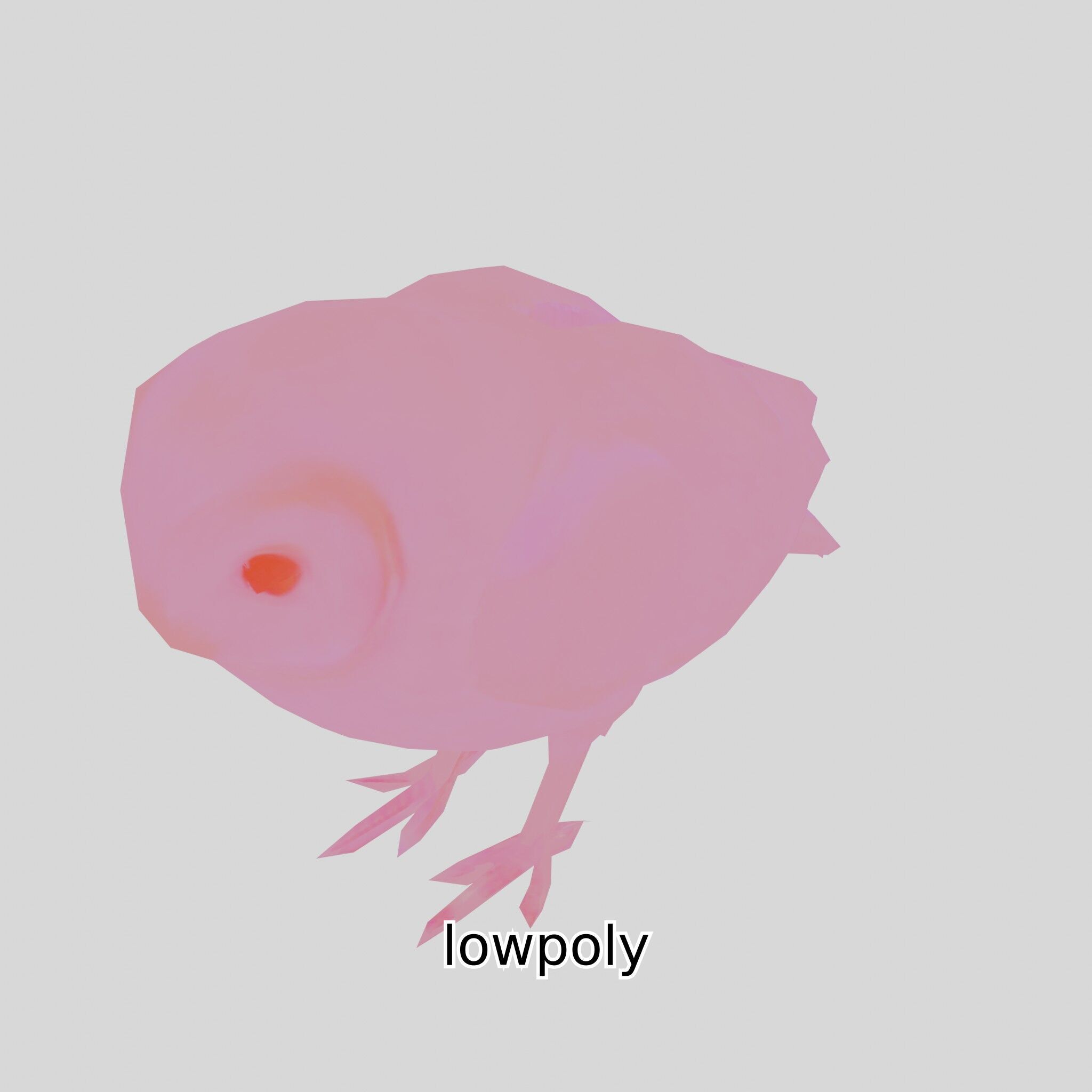 Realistic Owl Bird Model for Animation and Gaming Low-poly 3D model_5