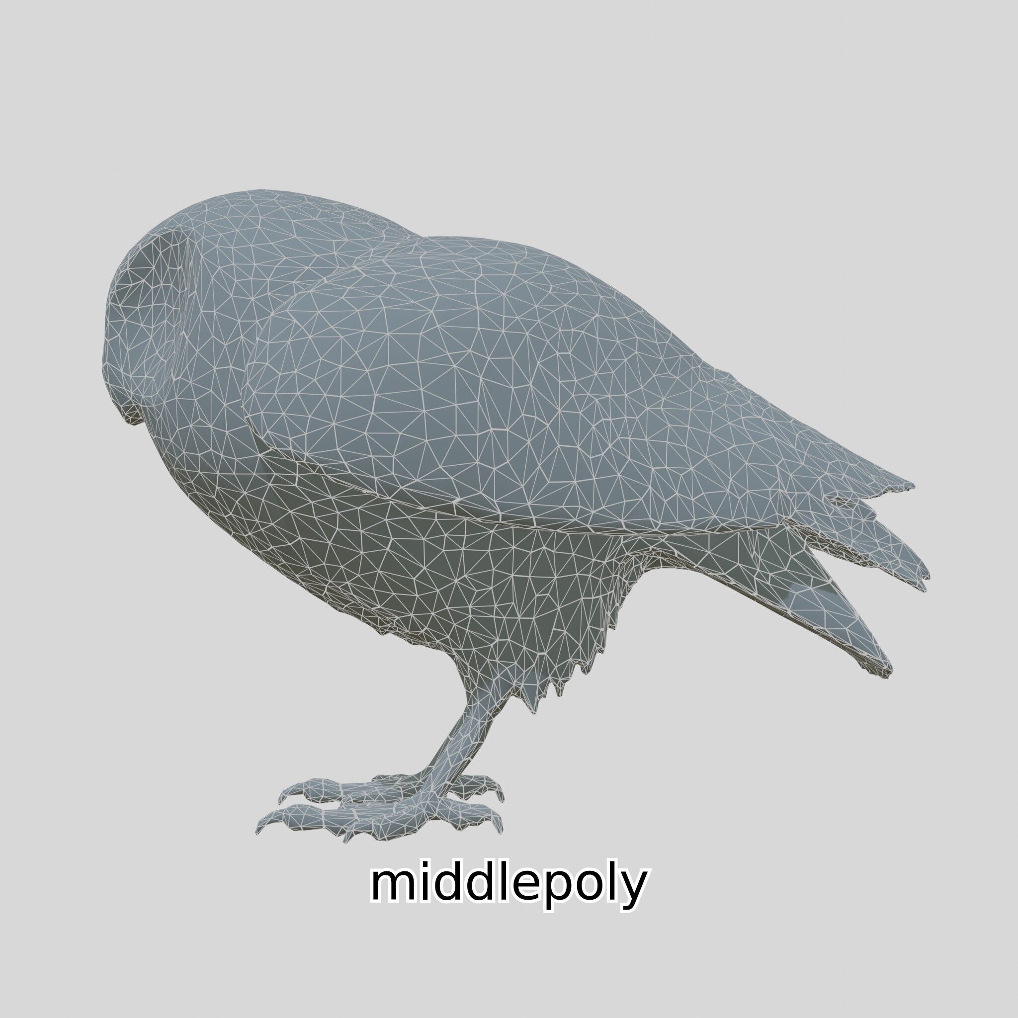 Realistic Owl Bird Model for Animation and Gaming Low-poly 3D model_12