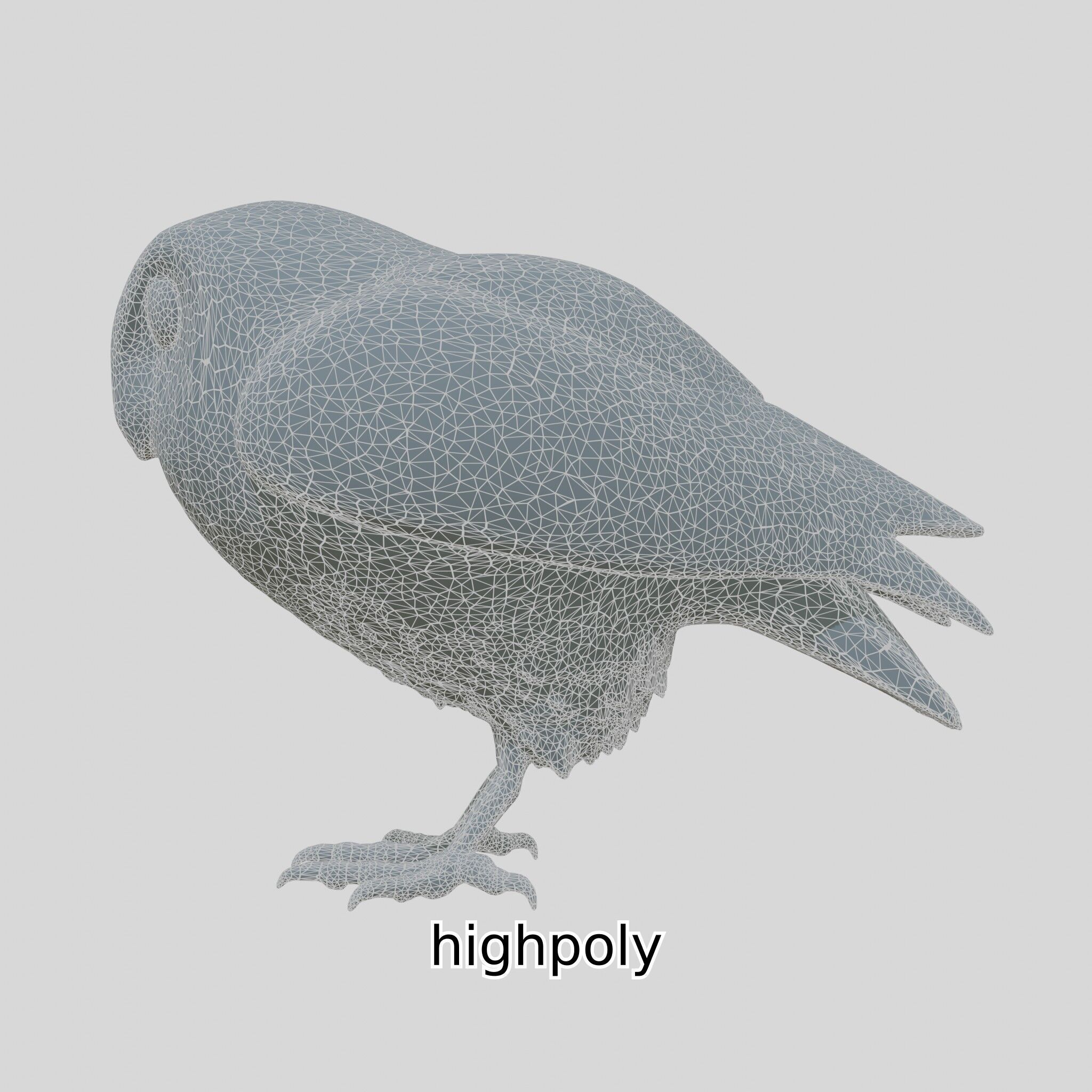 Realistic Owl Bird Model for Animation and Gaming Low-poly 3D model_27