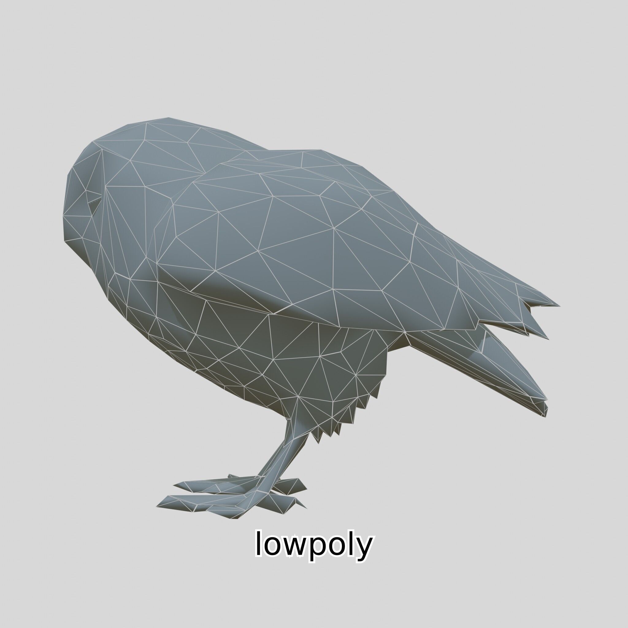 Realistic Owl Bird Model for Animation and Gaming Low-poly 3D model_39