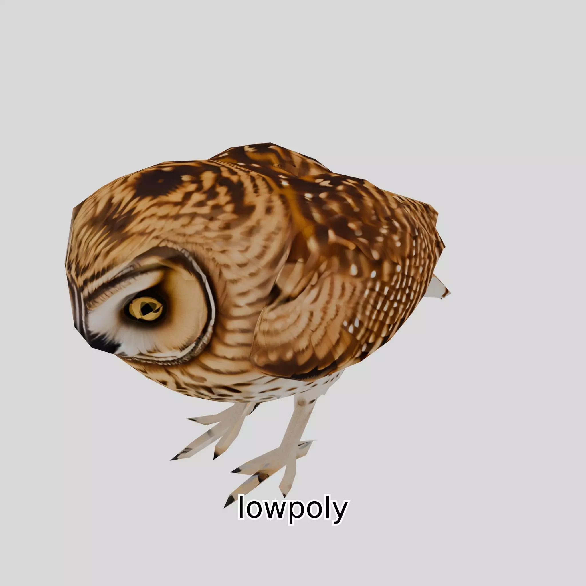 Realistic Owl Bird Model for Animation and Gaming Low-poly 3D model_0