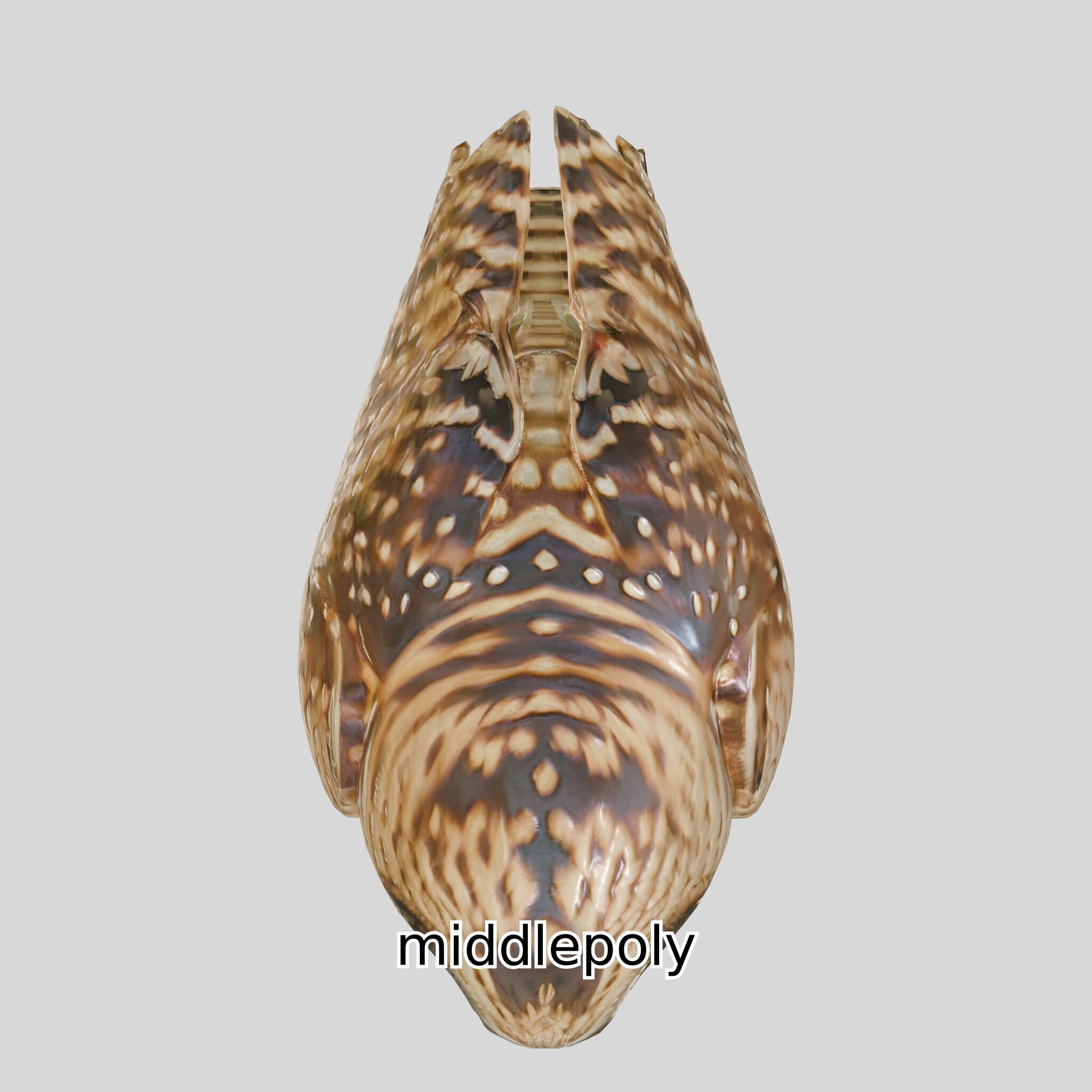 Realistic Owl Bird Model for Animation and Gaming Low-poly 3D model_6