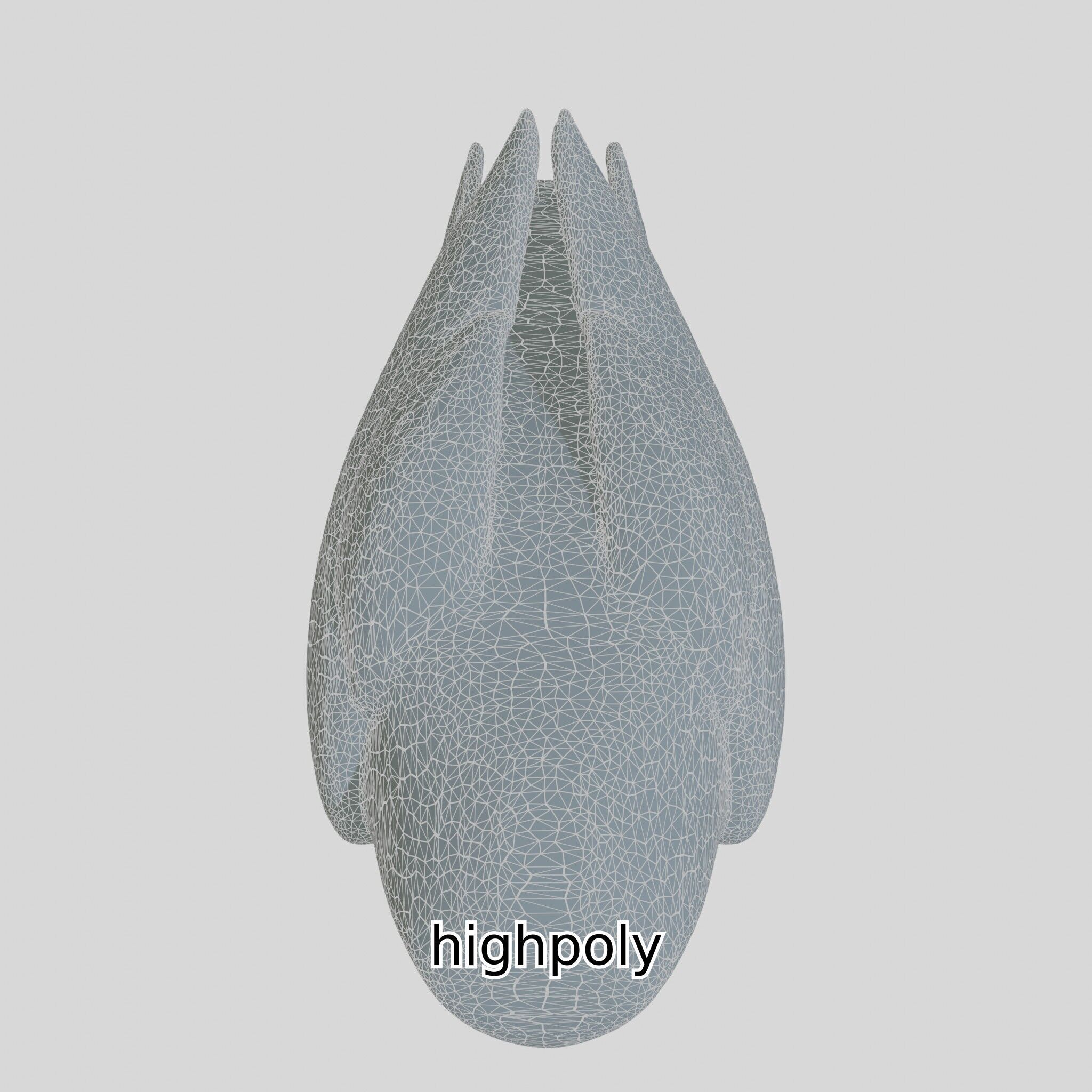 Realistic Owl Bird Model for Animation and Gaming Low-poly 3D model_26