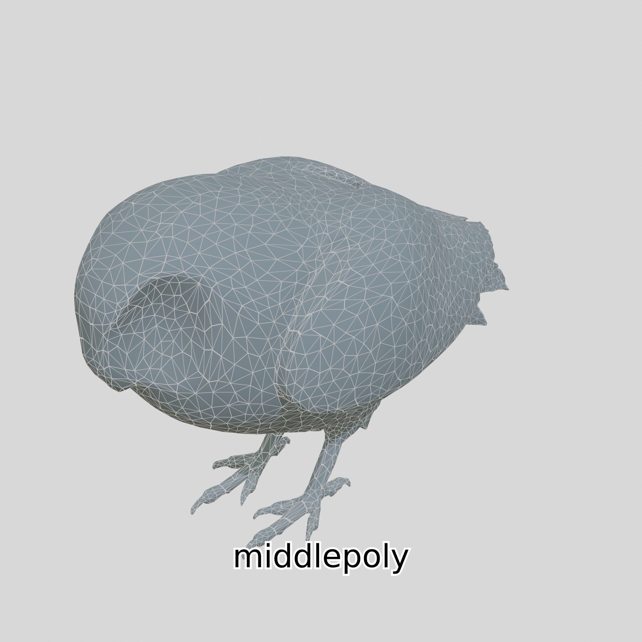 Realistic Owl Bird Model for Animation and Gaming Low-poly 3D model_14