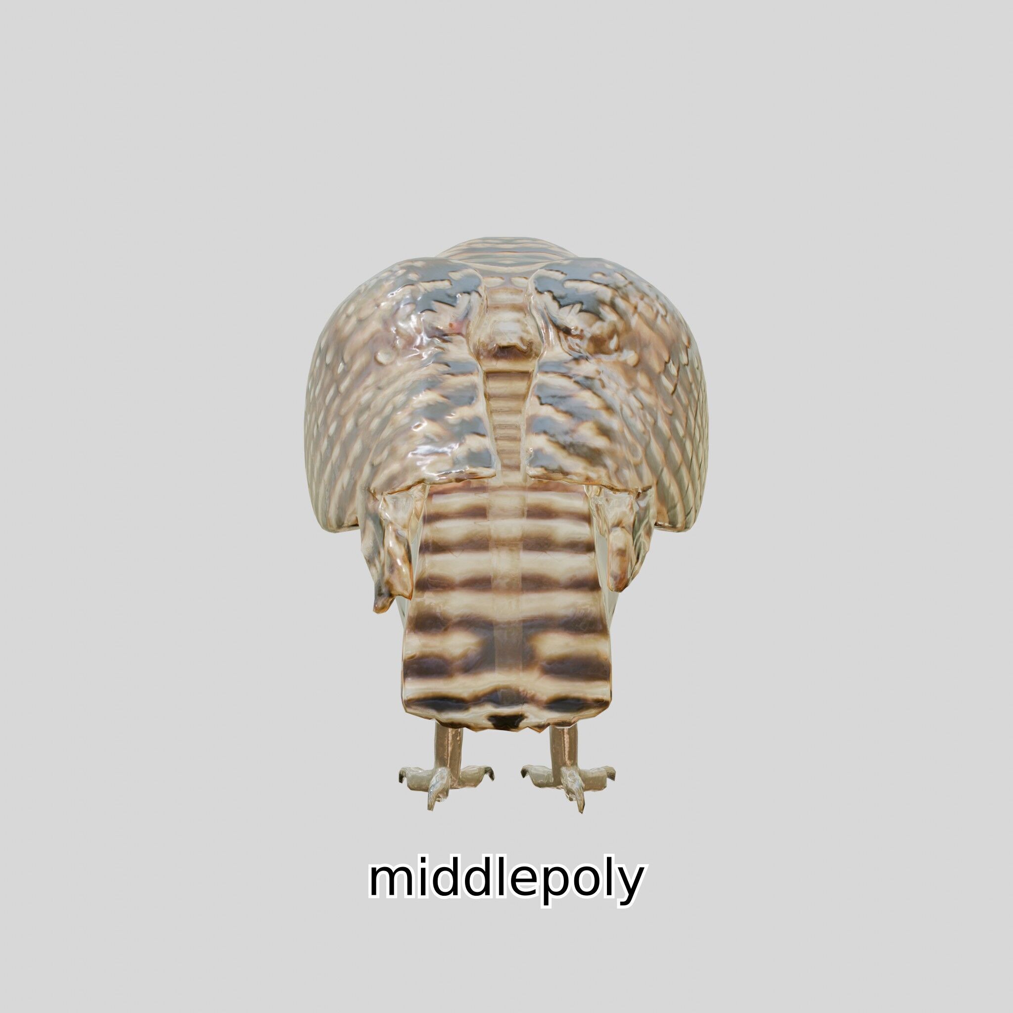 Realistic Owl Bird Model for Animation and Gaming Low-poly 3D model_8