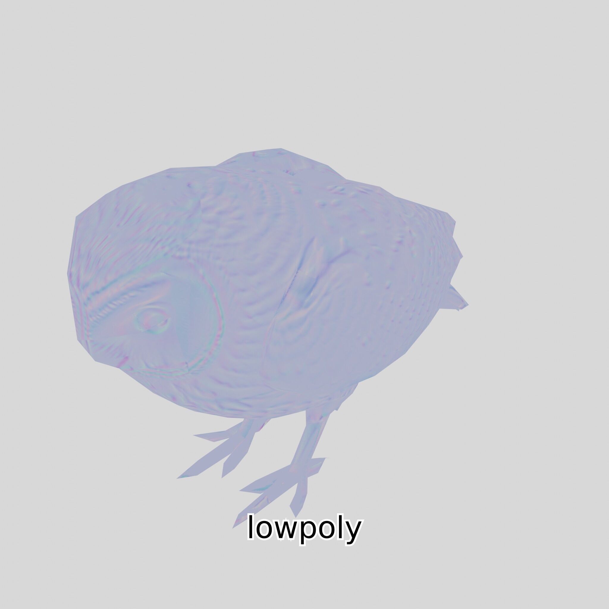 Realistic Owl Bird Model for Animation and Gaming Low-poly 3D model_4