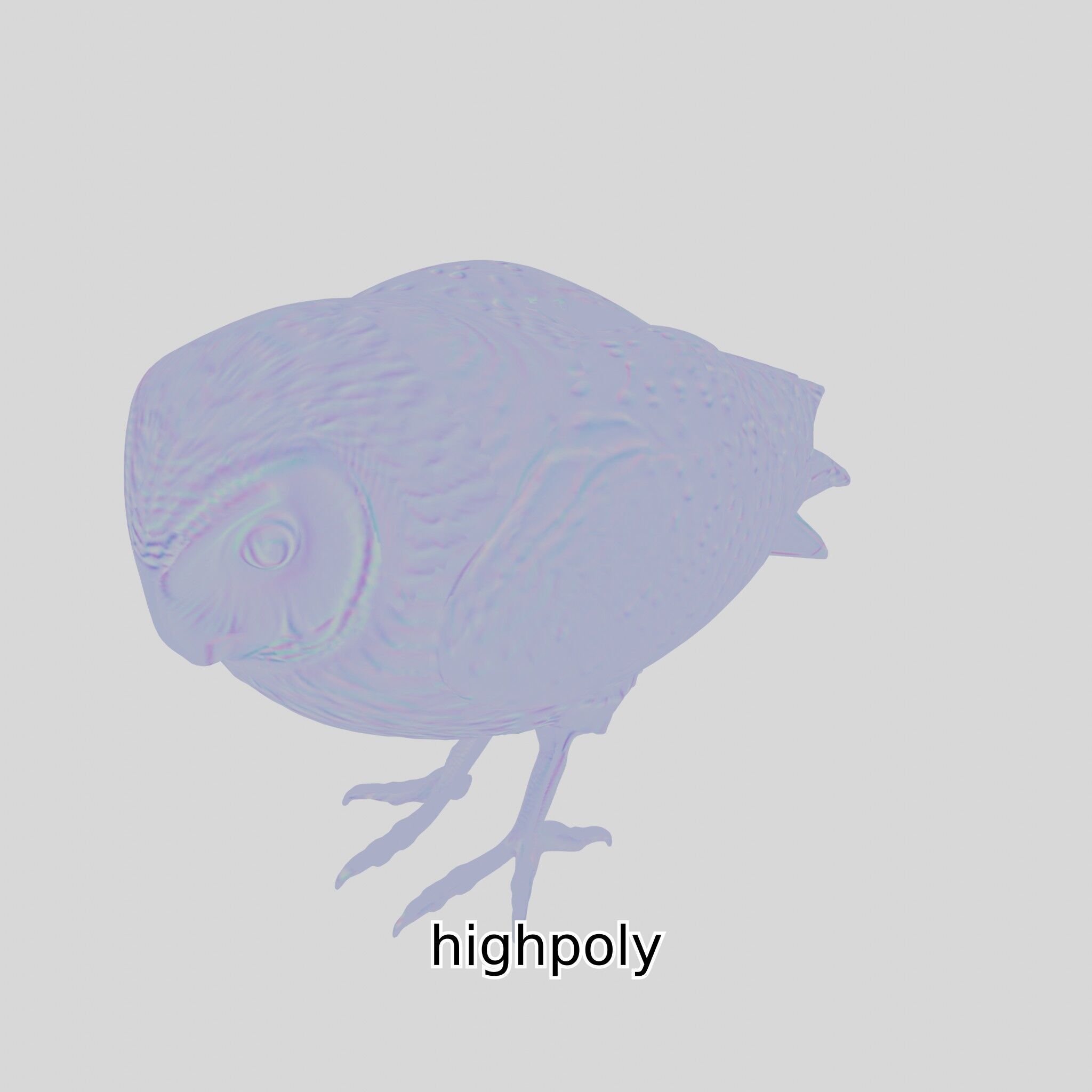 Realistic Owl Bird Model for Animation and Gaming Low-poly 3D model_30