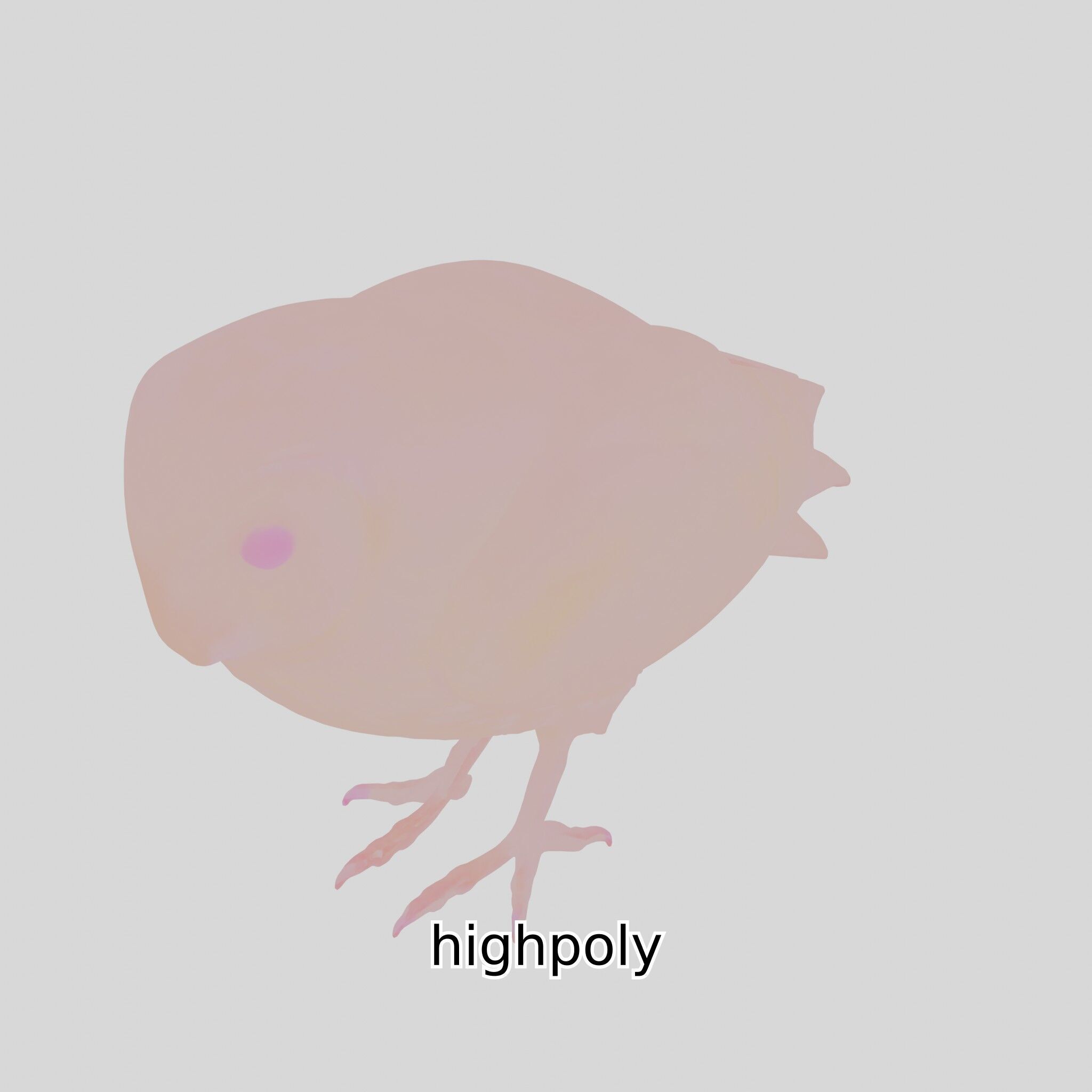 Realistic Owl Bird Model for Animation and Gaming Low-poly 3D model_31