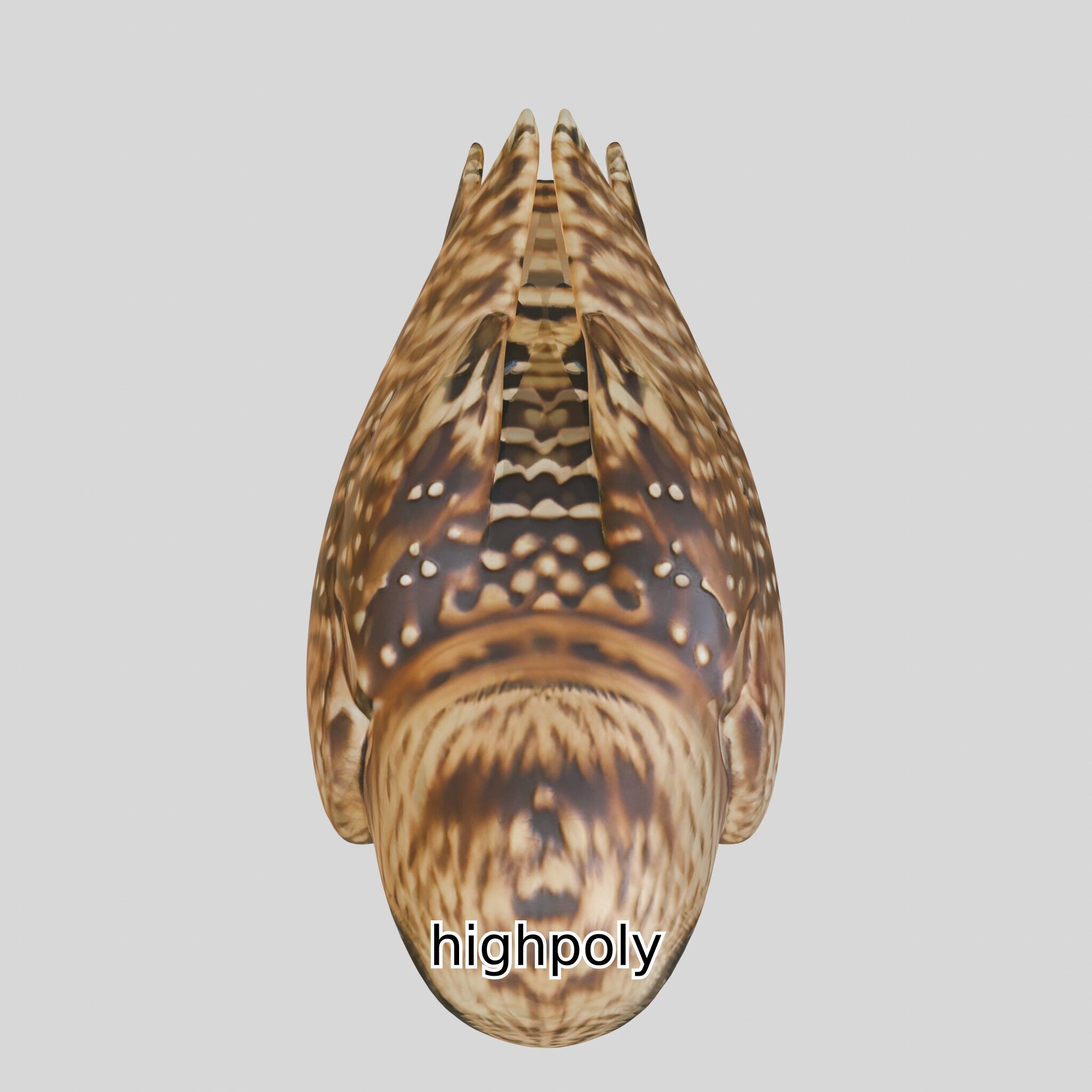 Realistic Owl Bird Model for Animation and Gaming Low-poly 3D model_21