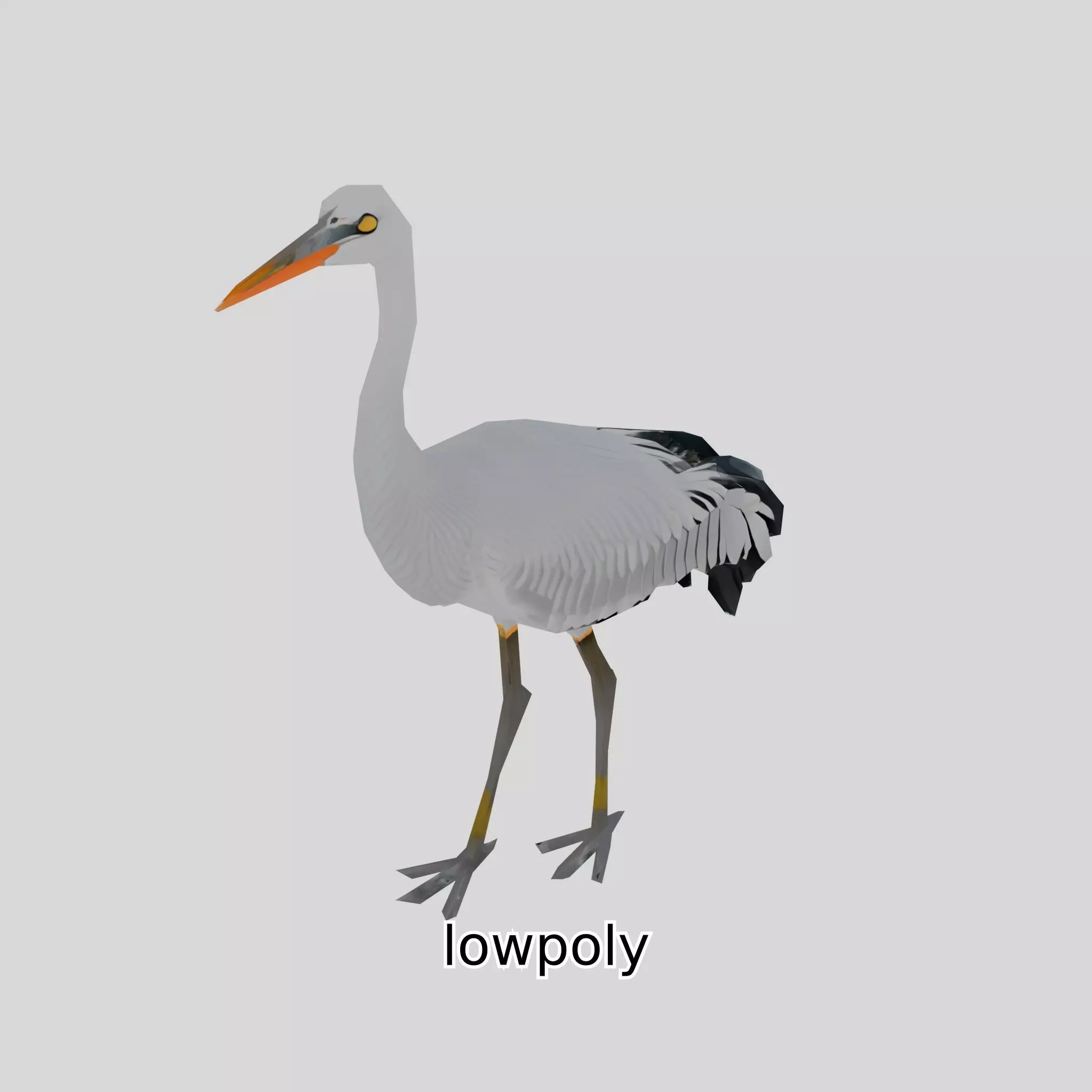 Elegant Crane Bird Realistic 3D Model Low-poly 3D model_0