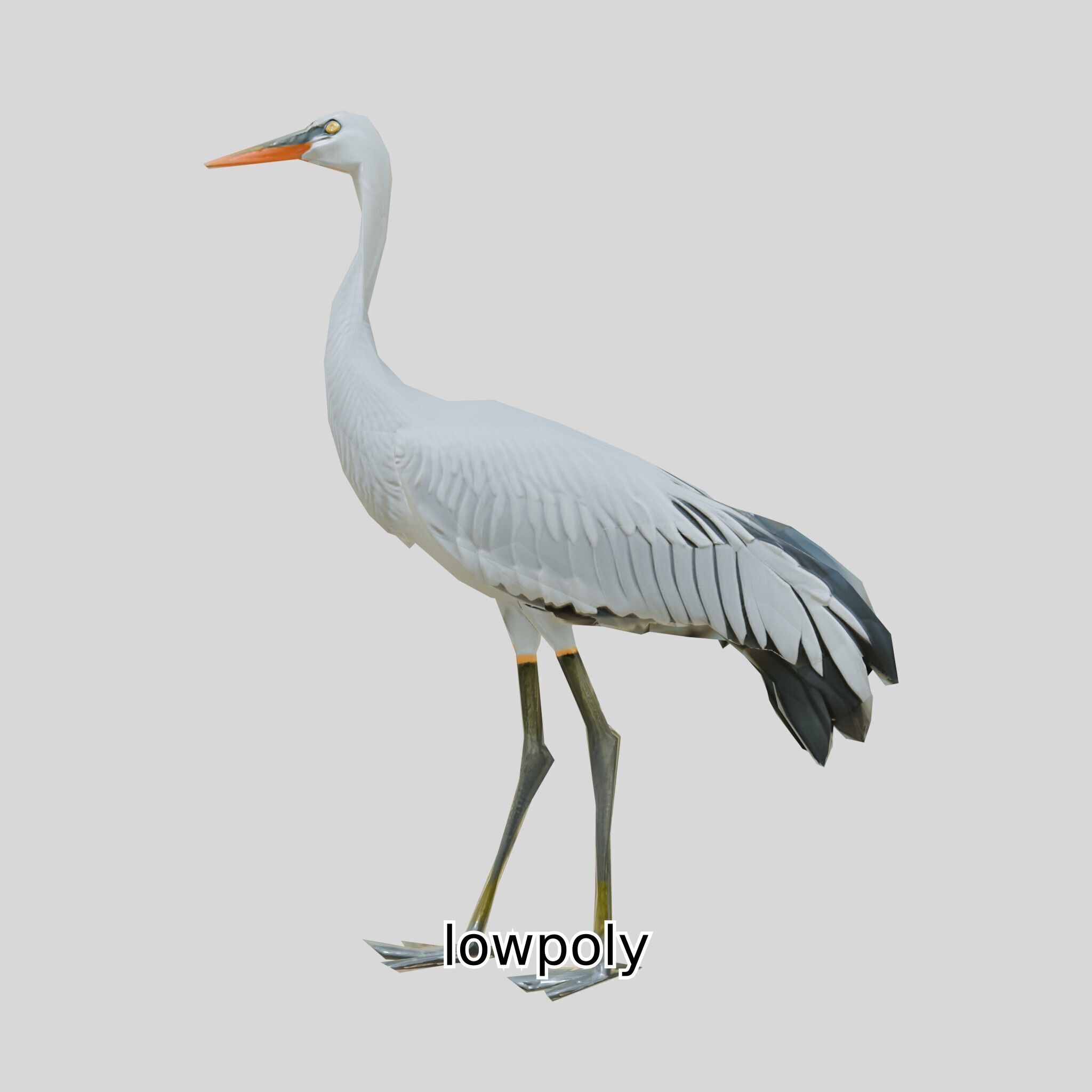 Elegant Crane Bird Realistic 3D Model Low-poly 3D model_22