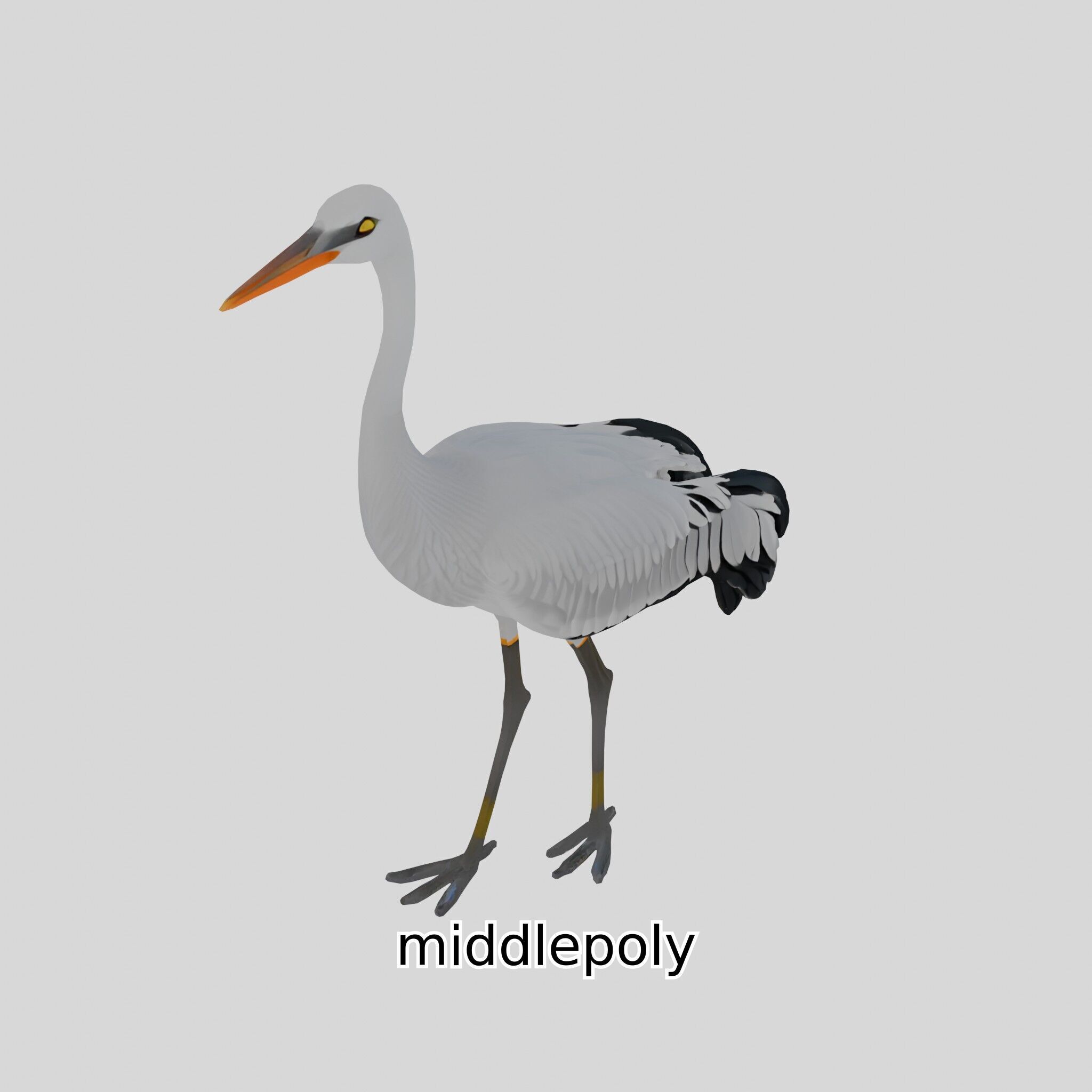 Elegant Crane Bird Realistic 3D Model Low-poly 3D model_18