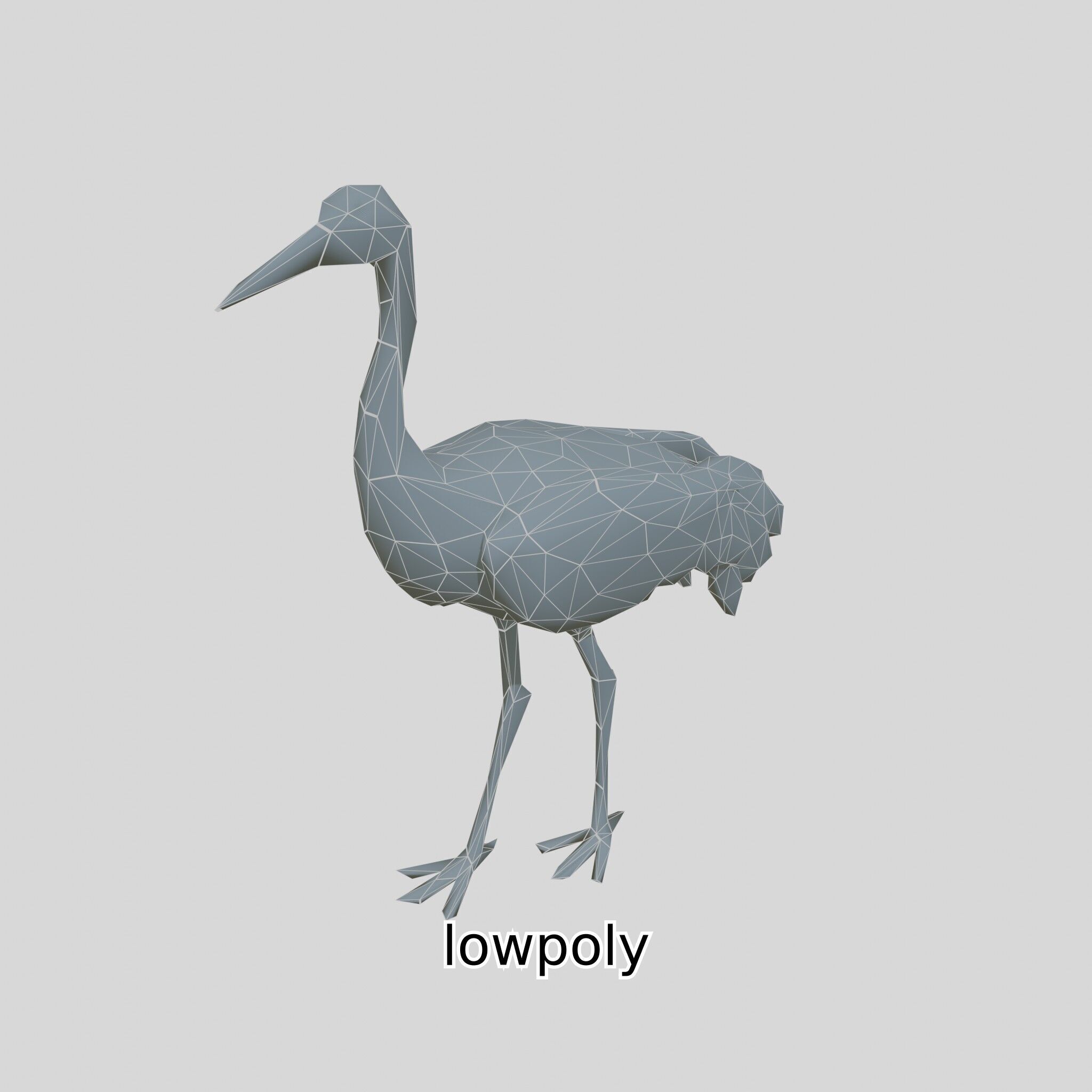 Elegant Crane Bird Realistic 3D Model Low-poly 3D model_41