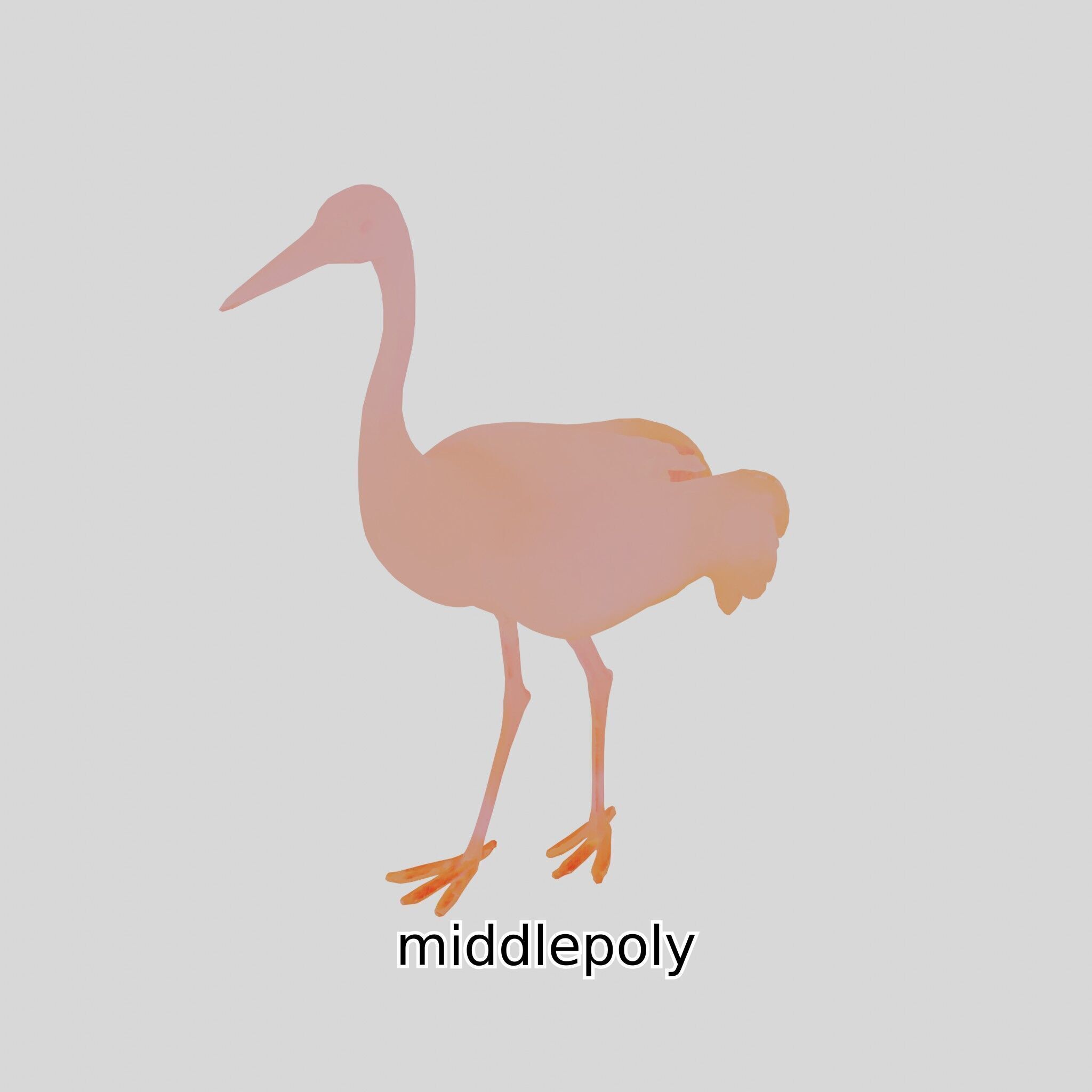 Elegant Crane Bird Realistic 3D Model Low-poly 3D model_20