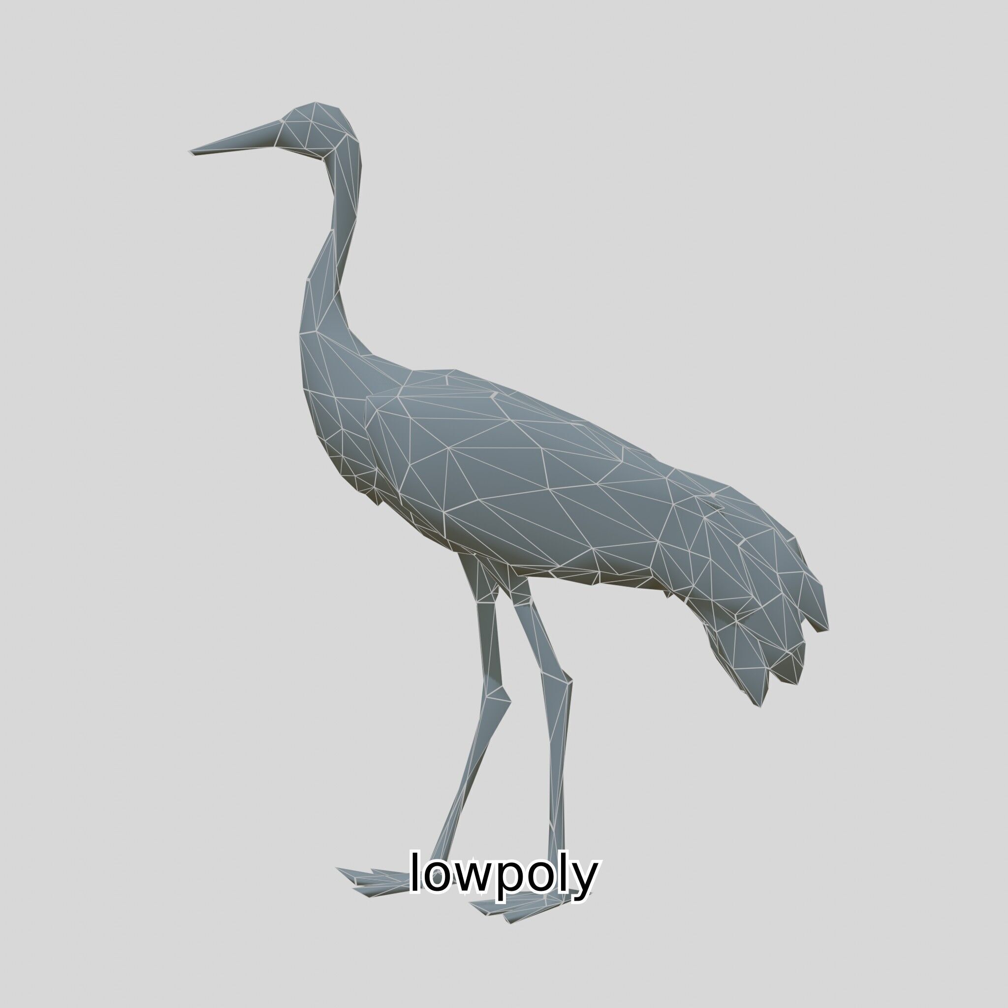 Elegant Crane Bird Realistic 3D Model Low-poly 3D model_39