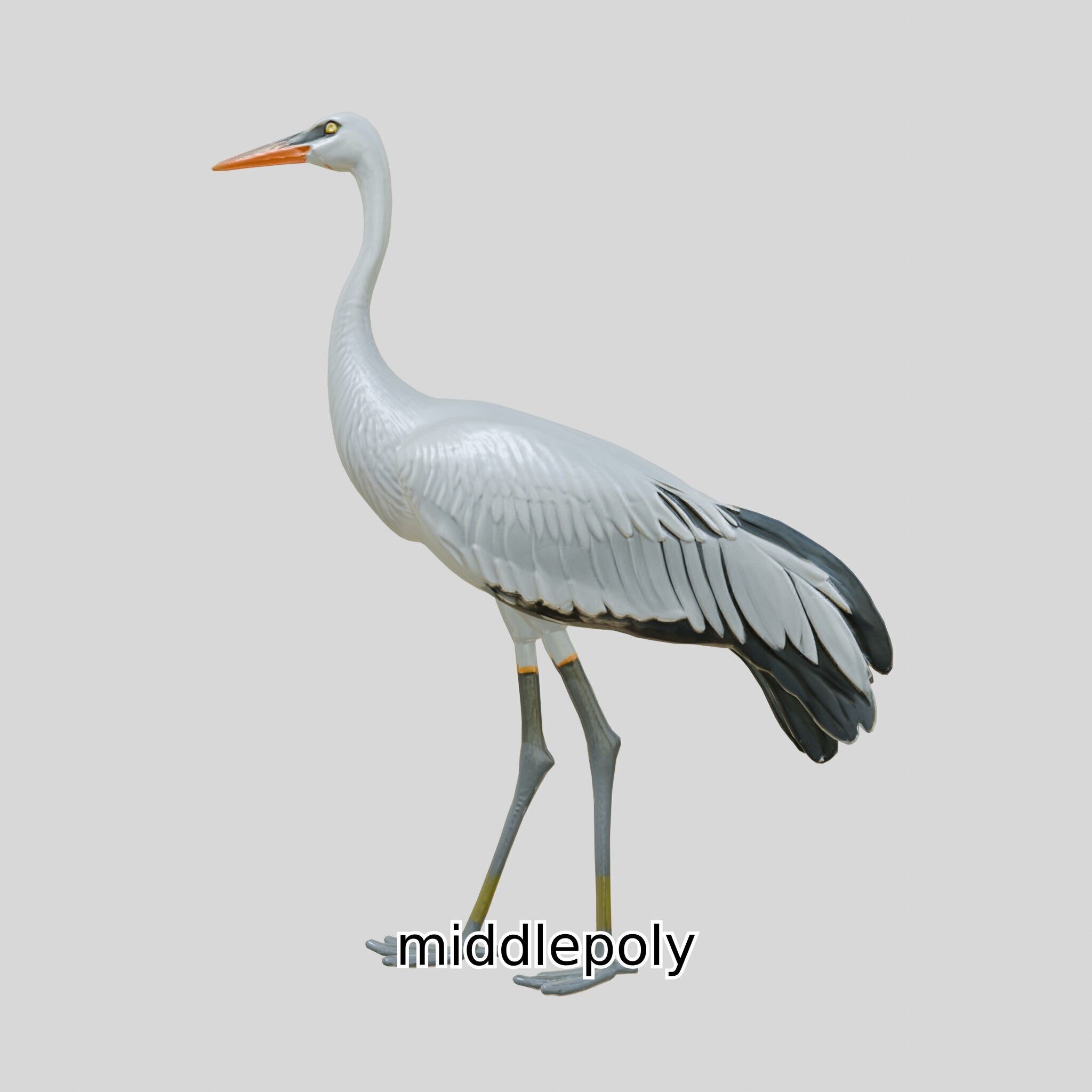 Elegant Crane Bird Realistic 3D Model Low-poly 3D model_7