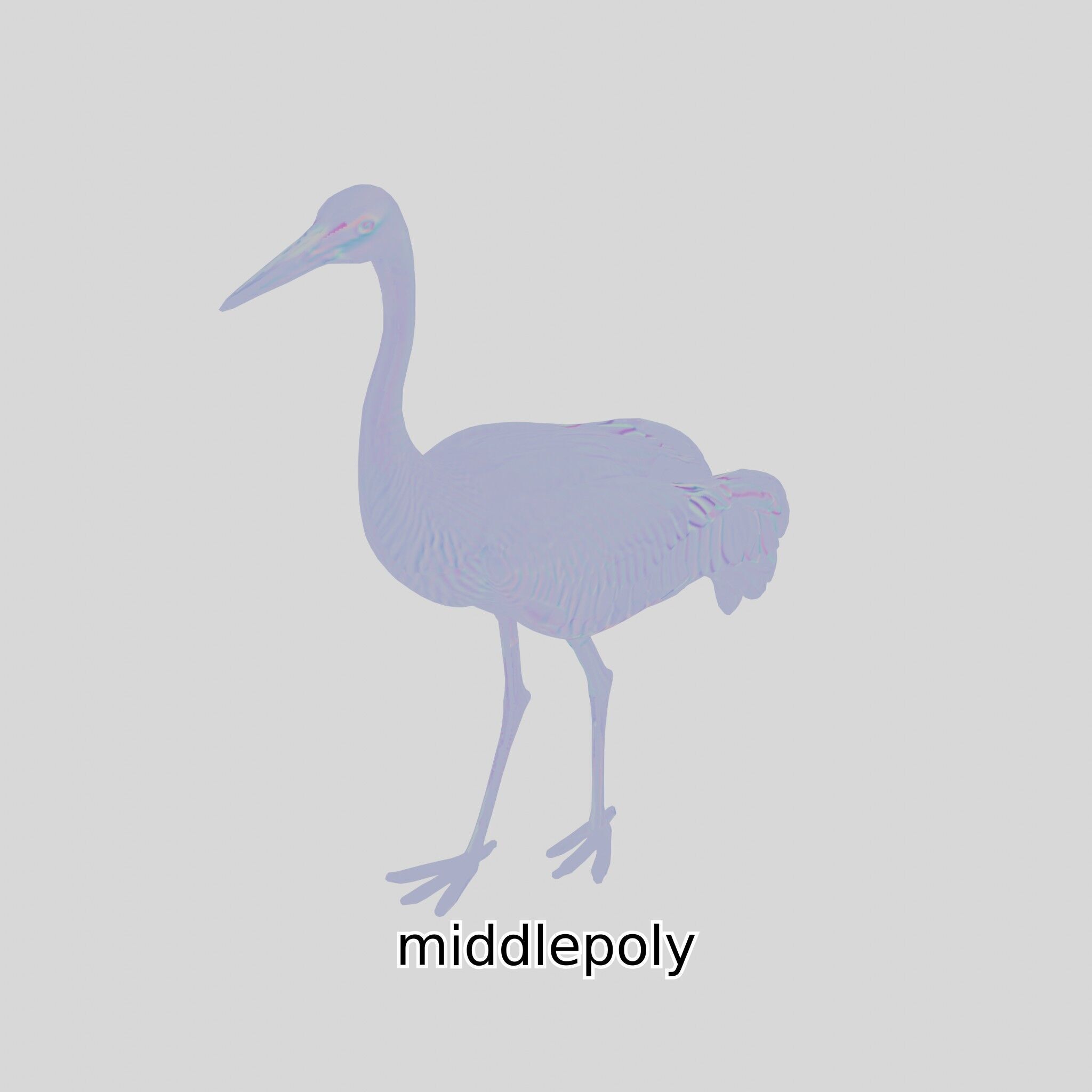 Elegant Crane Bird Realistic 3D Model Low-poly 3D model_19