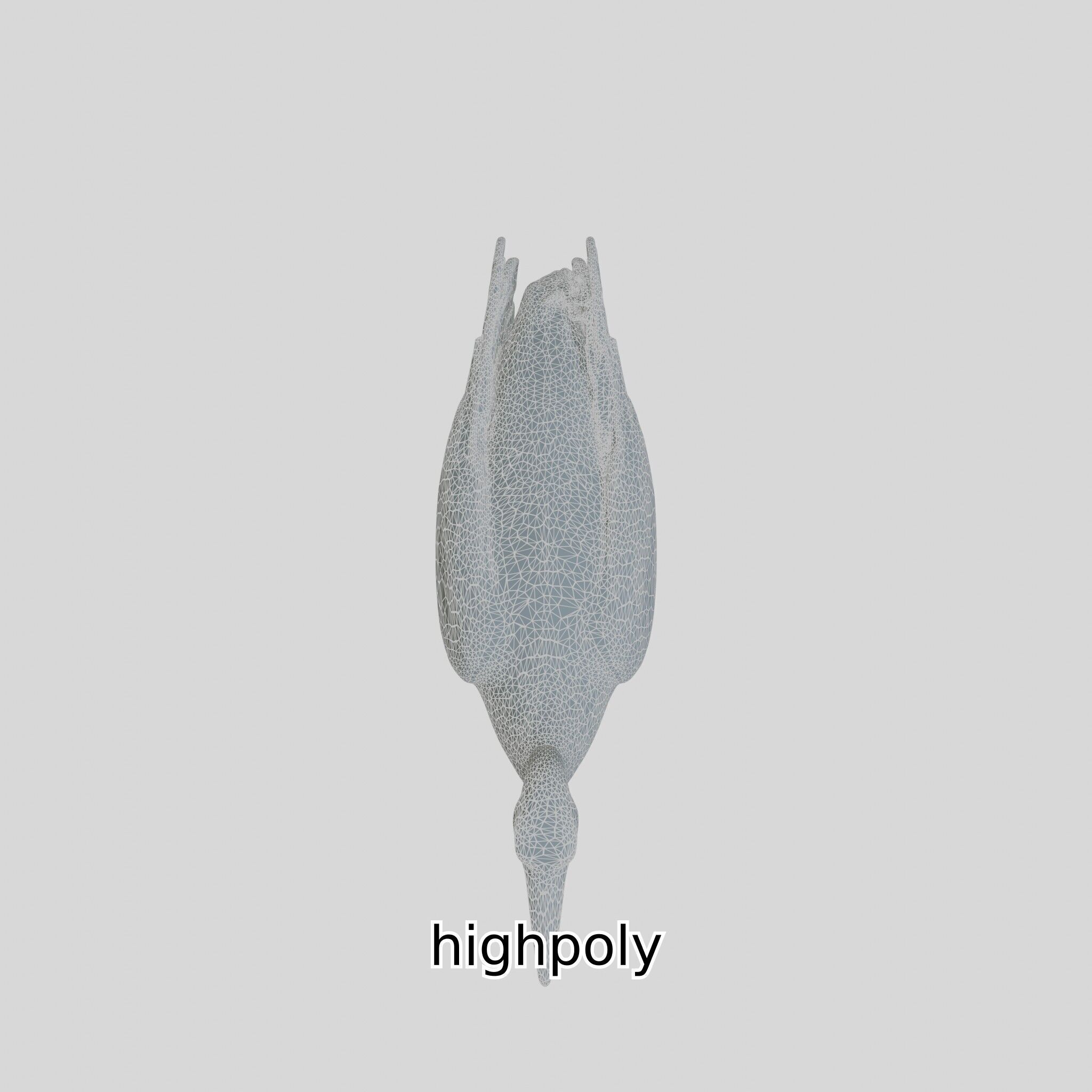 Elegant Crane Bird Realistic 3D Model Low-poly 3D model_26