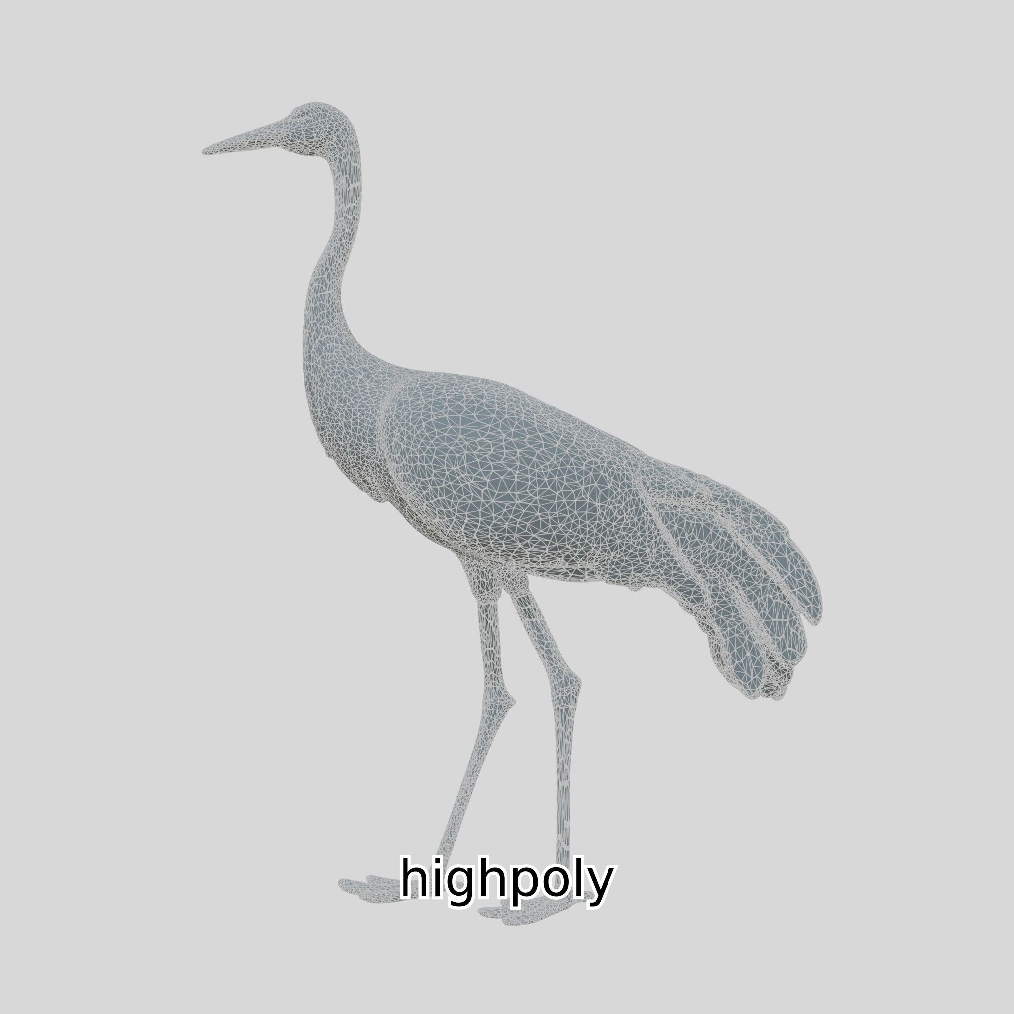 Elegant Crane Bird Realistic 3D Model Low-poly 3D model_27