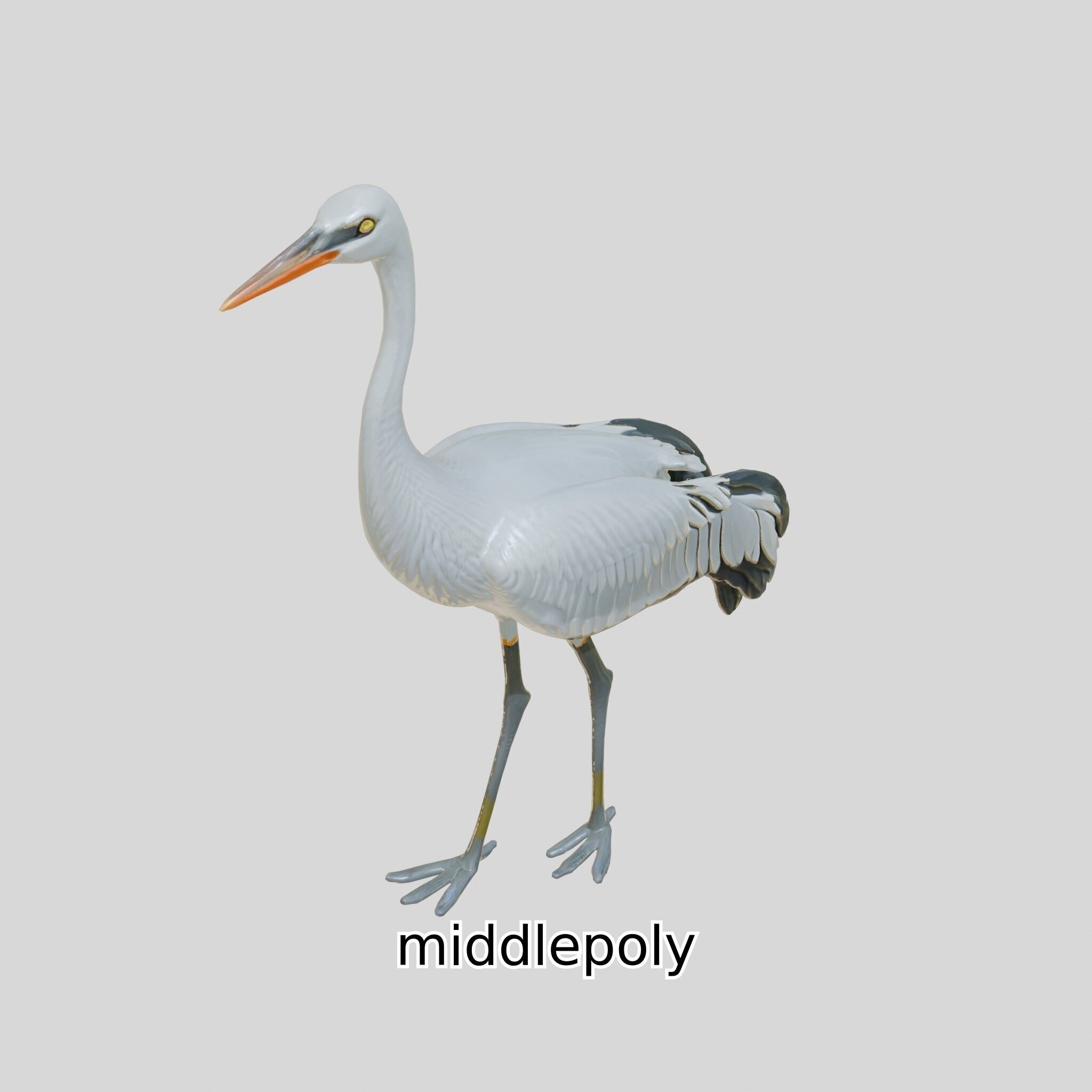 Elegant Crane Bird Realistic 3D Model Low-poly 3D model_9