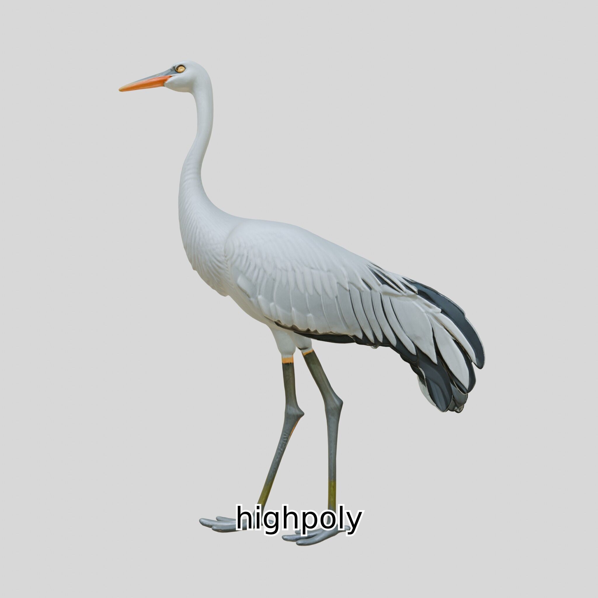 Elegant Crane Bird Realistic 3D Model Low-poly 3D model_23