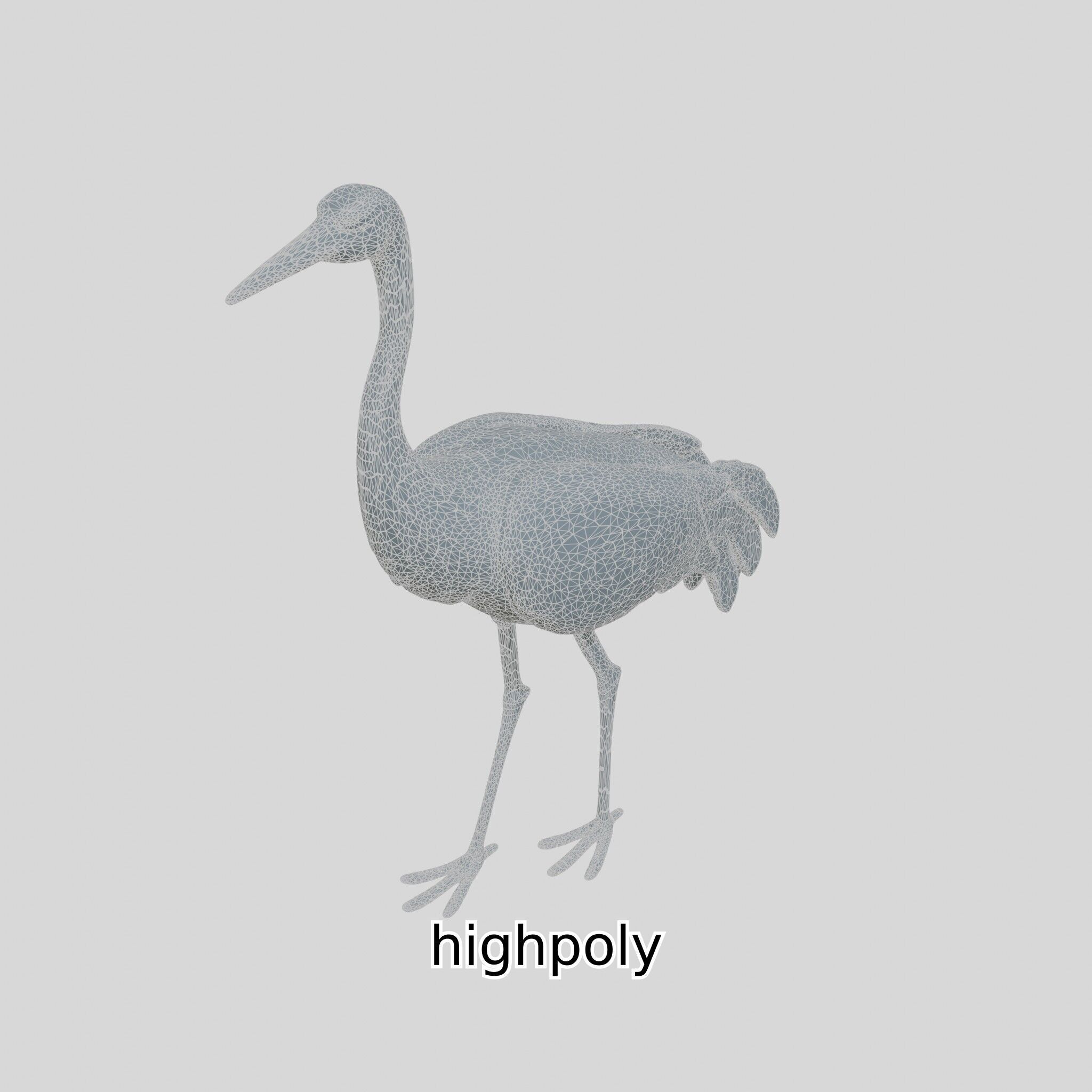 Elegant Crane Bird Realistic 3D Model Low-poly 3D model_29
