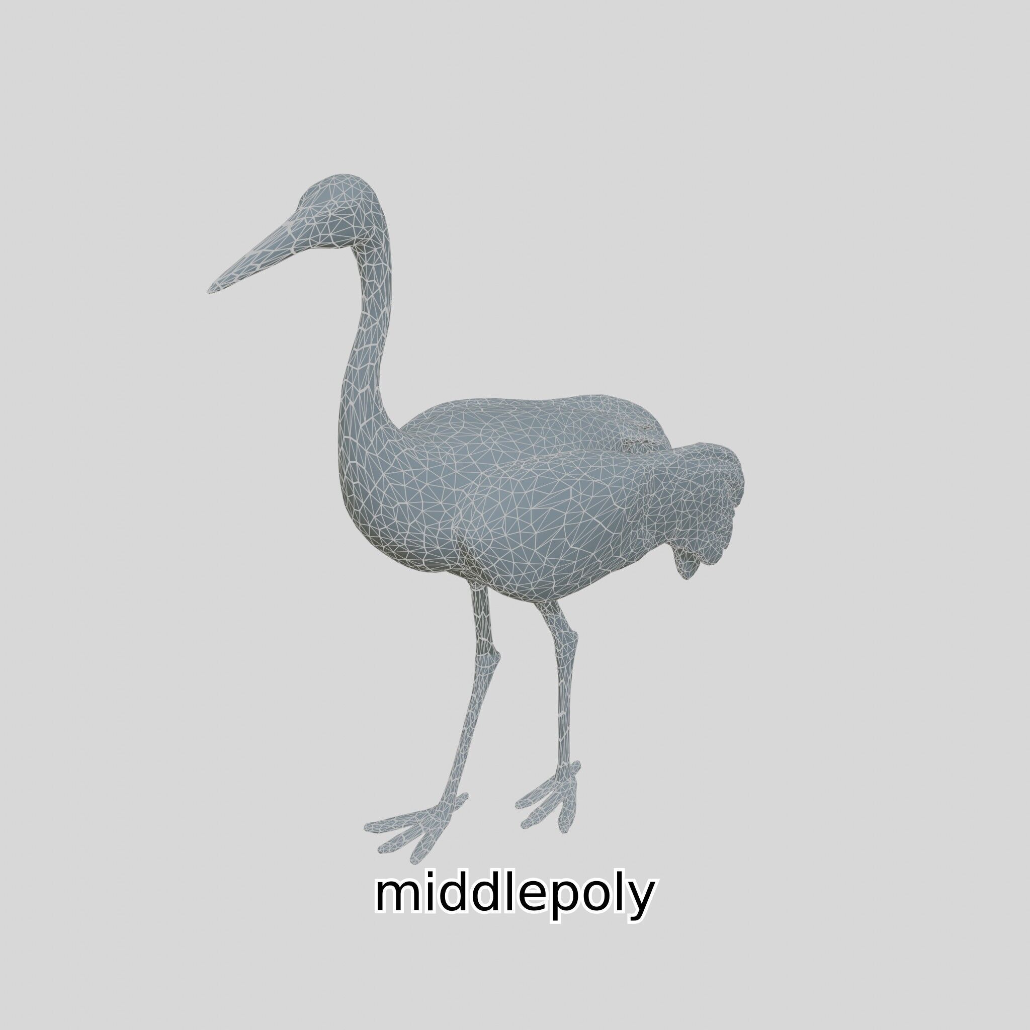 Elegant Crane Bird Realistic 3D Model Low-poly 3D model_14