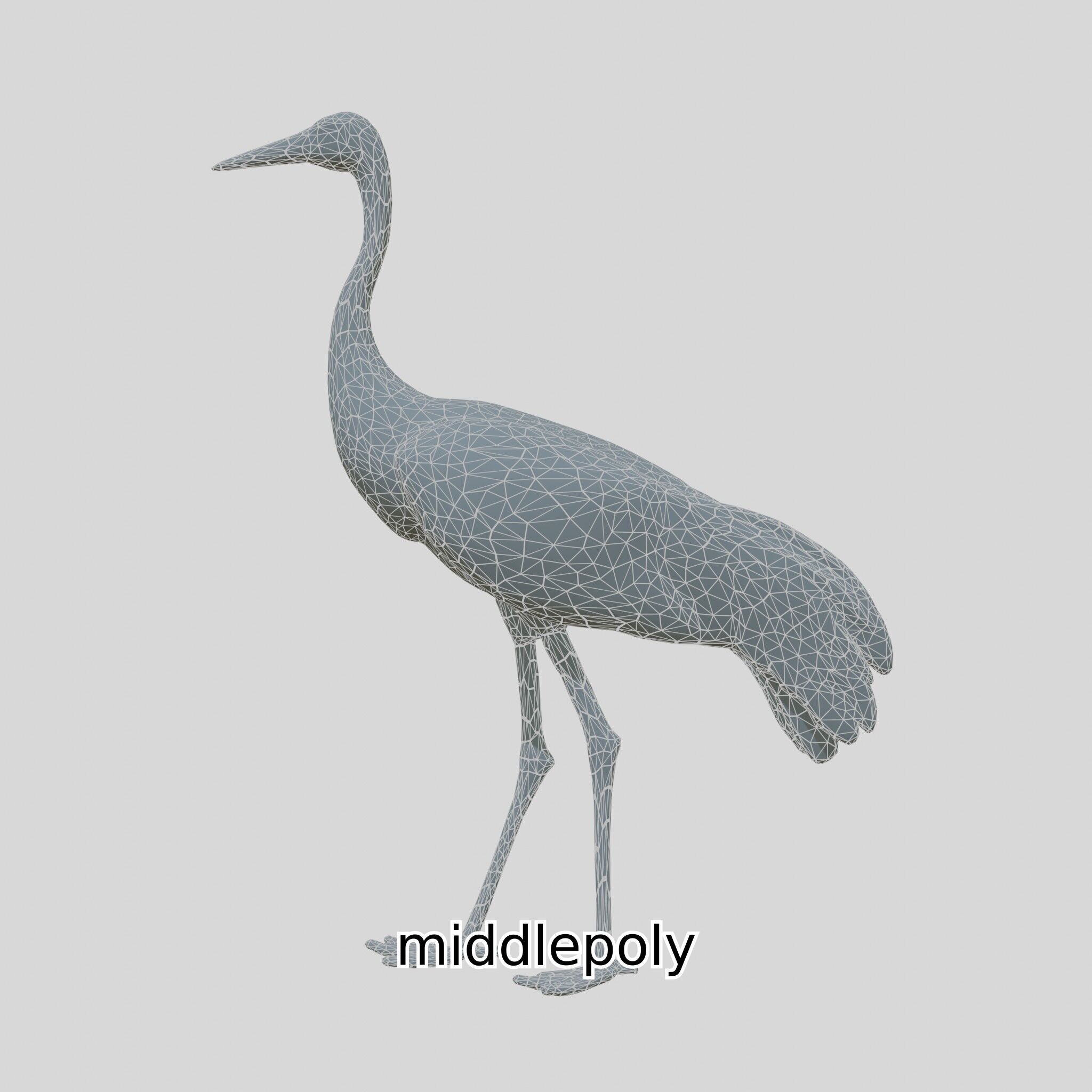 Elegant Crane Bird Realistic 3D Model Low-poly 3D model_12