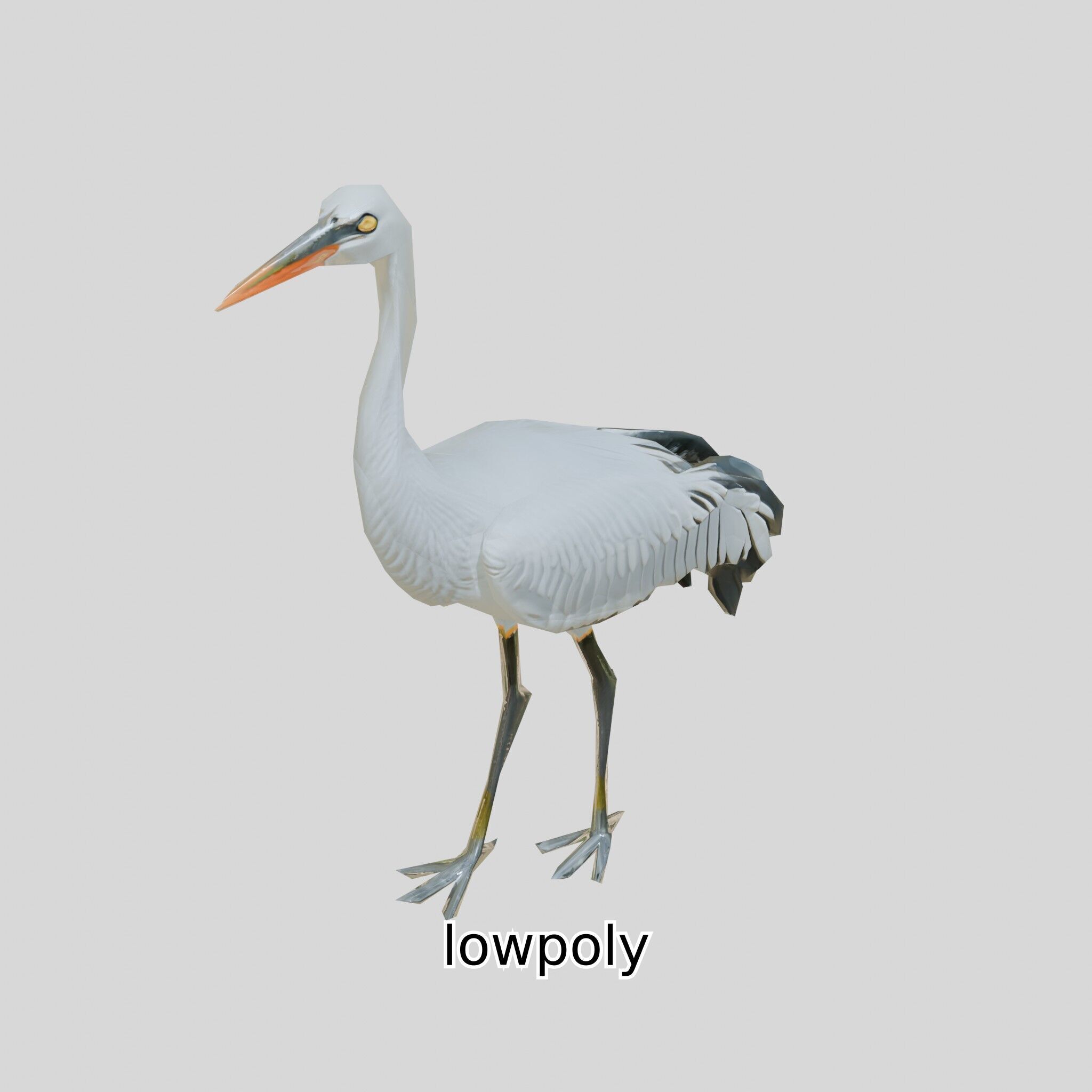 Elegant Crane Bird Realistic 3D Model Low-poly 3D model_37