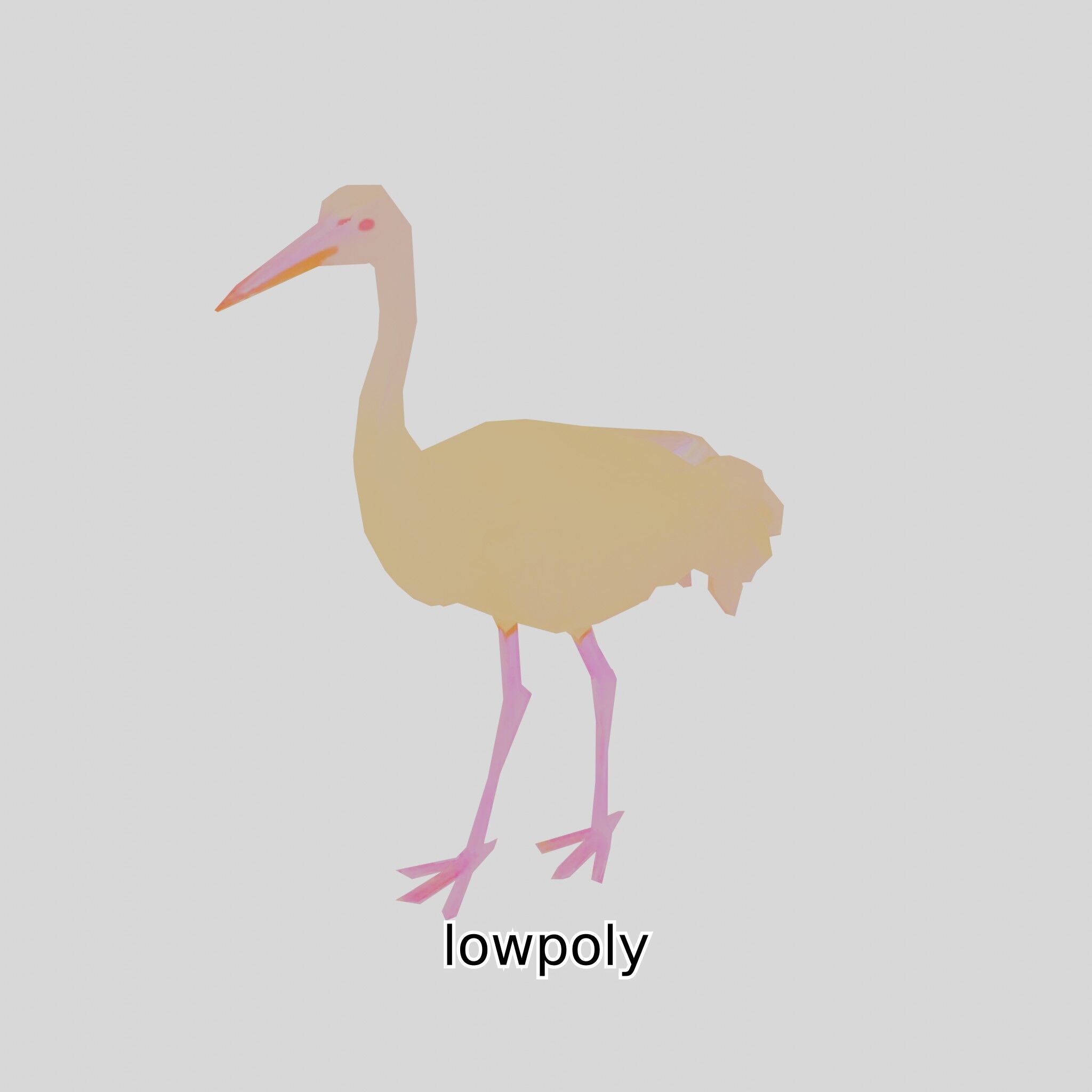 Elegant Crane Bird Realistic 3D Model Low-poly 3D model_5