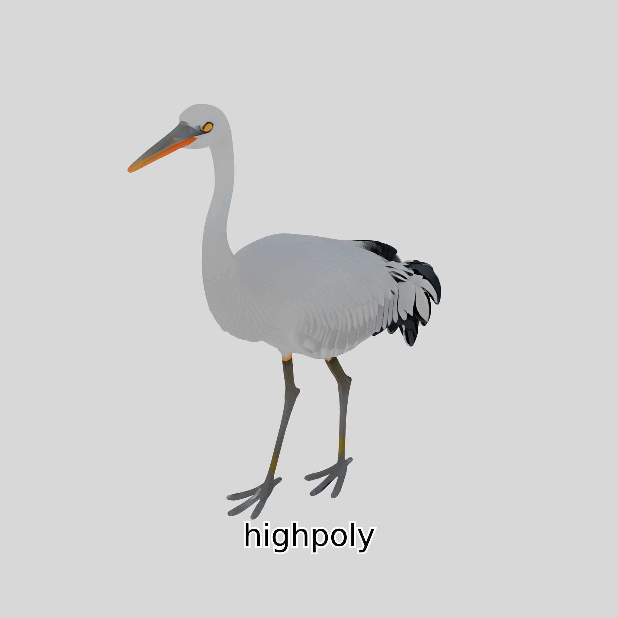 Elegant Crane Bird Realistic 3D Model Low-poly 3D model_34