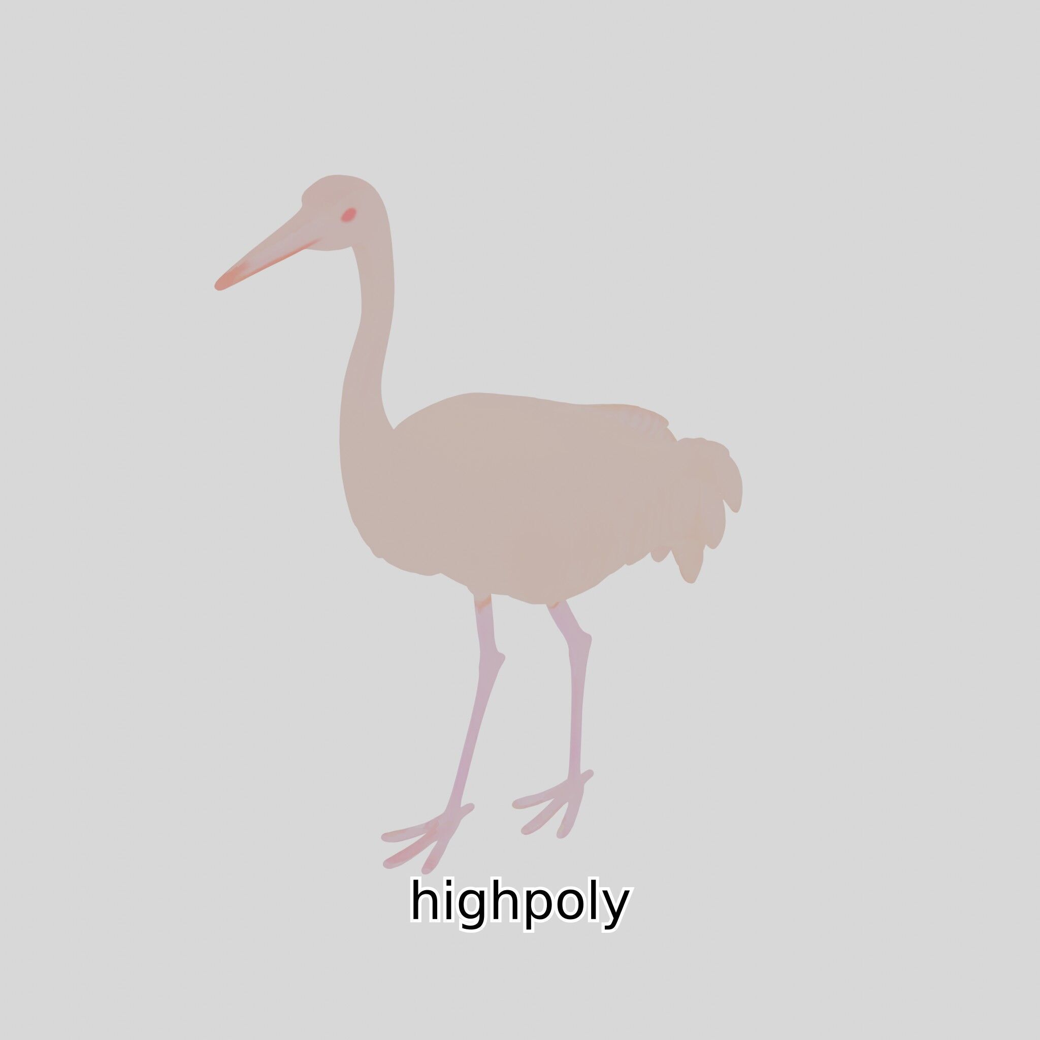 Elegant Crane Bird Realistic 3D Model Low-poly 3D model_36