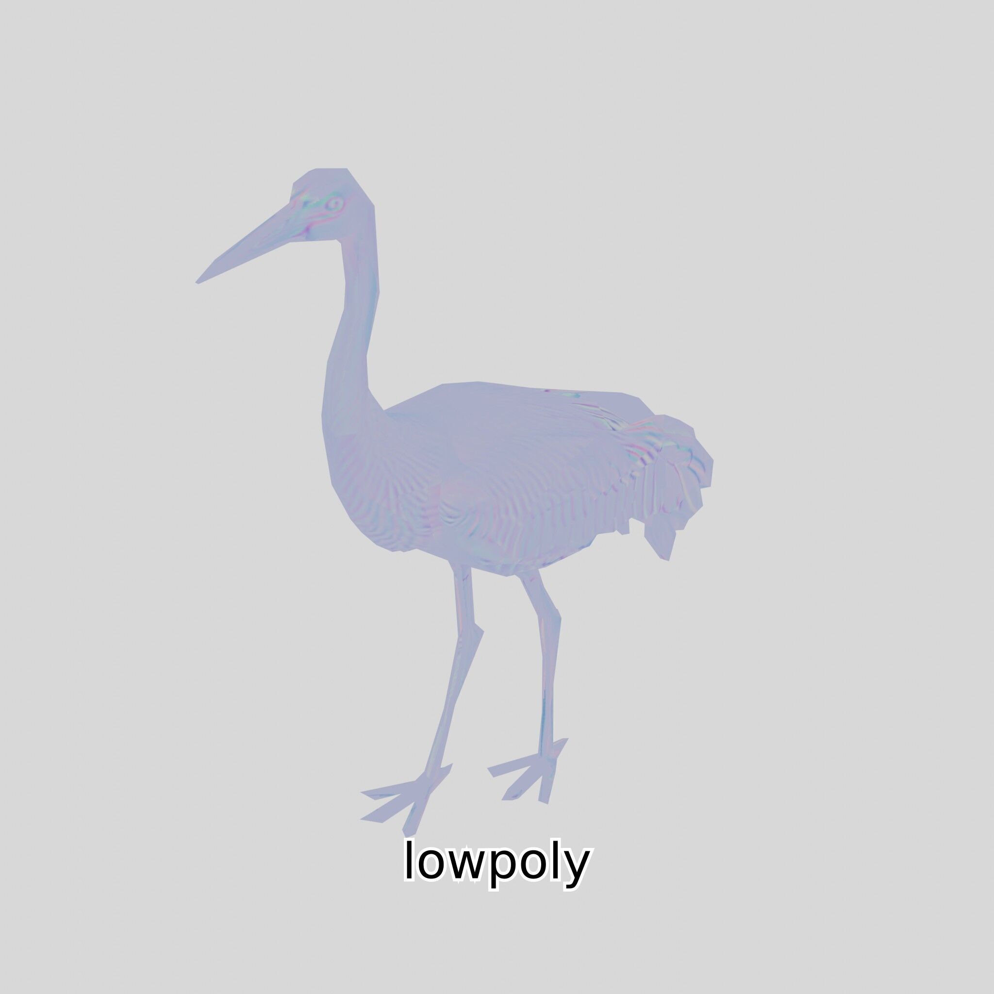 Elegant Crane Bird Realistic 3D Model Low-poly 3D model_4