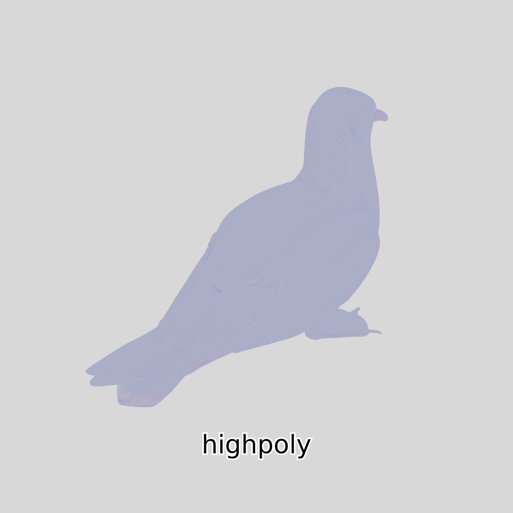 3D Realistic Seagull Bird Model with PBR Textures Low-poly 3D model_31