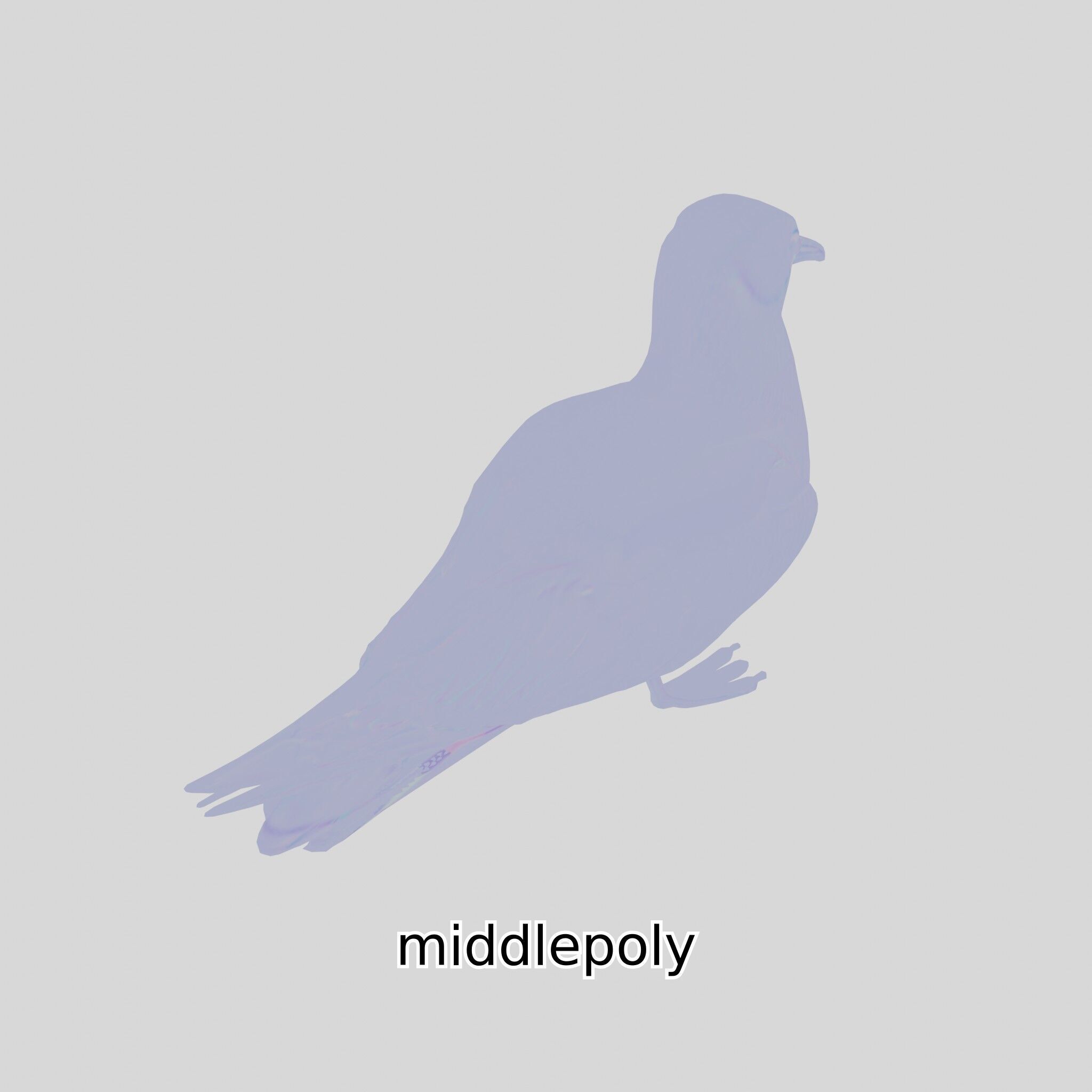 3D Realistic Seagull Bird Model with PBR Textures Low-poly 3D model_17