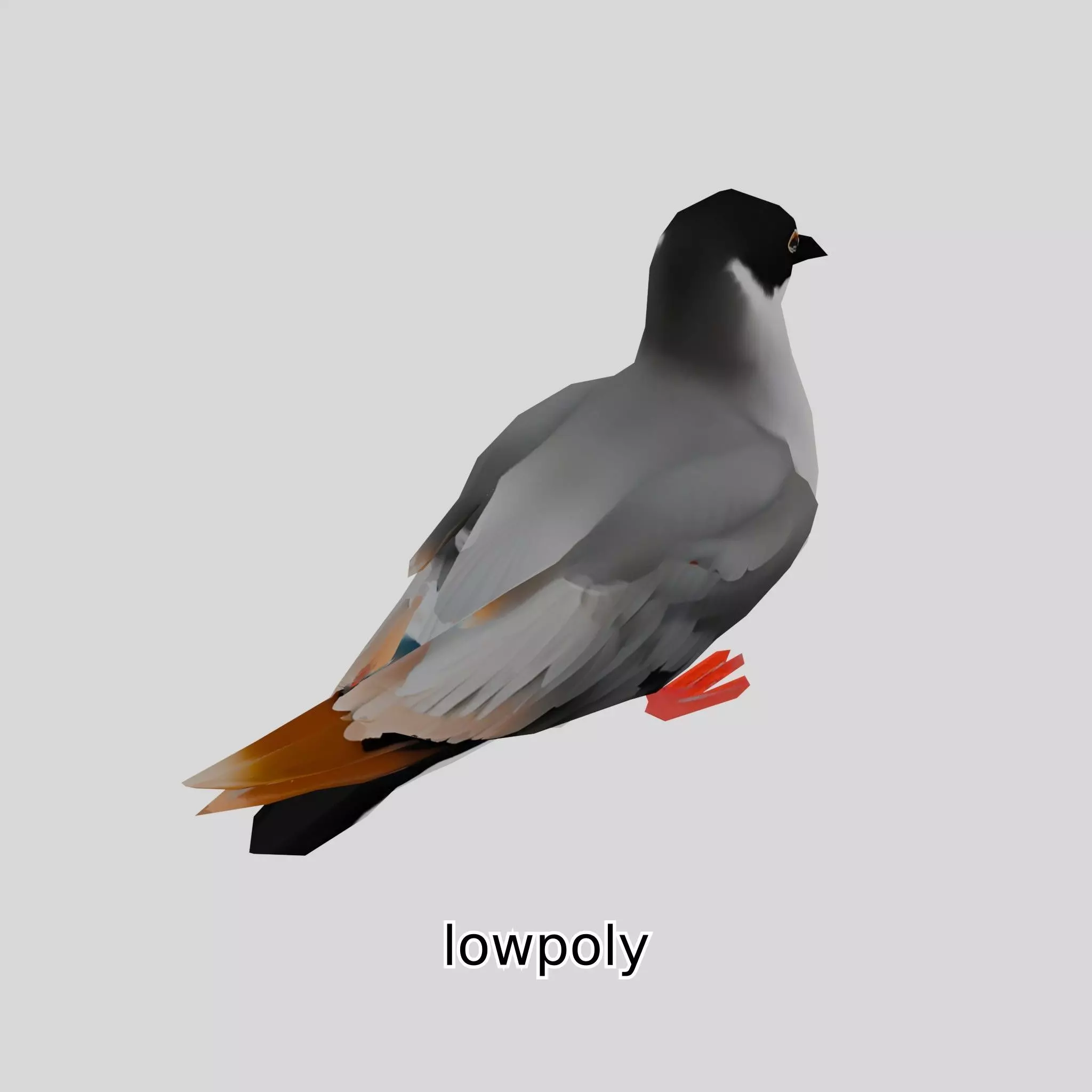 3D Realistic Seagull Bird Model with PBR Textures Low-poly 3D model_0