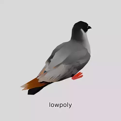 3D Realistic Seagull Bird Model with PBR Textures Low-poly 3D model