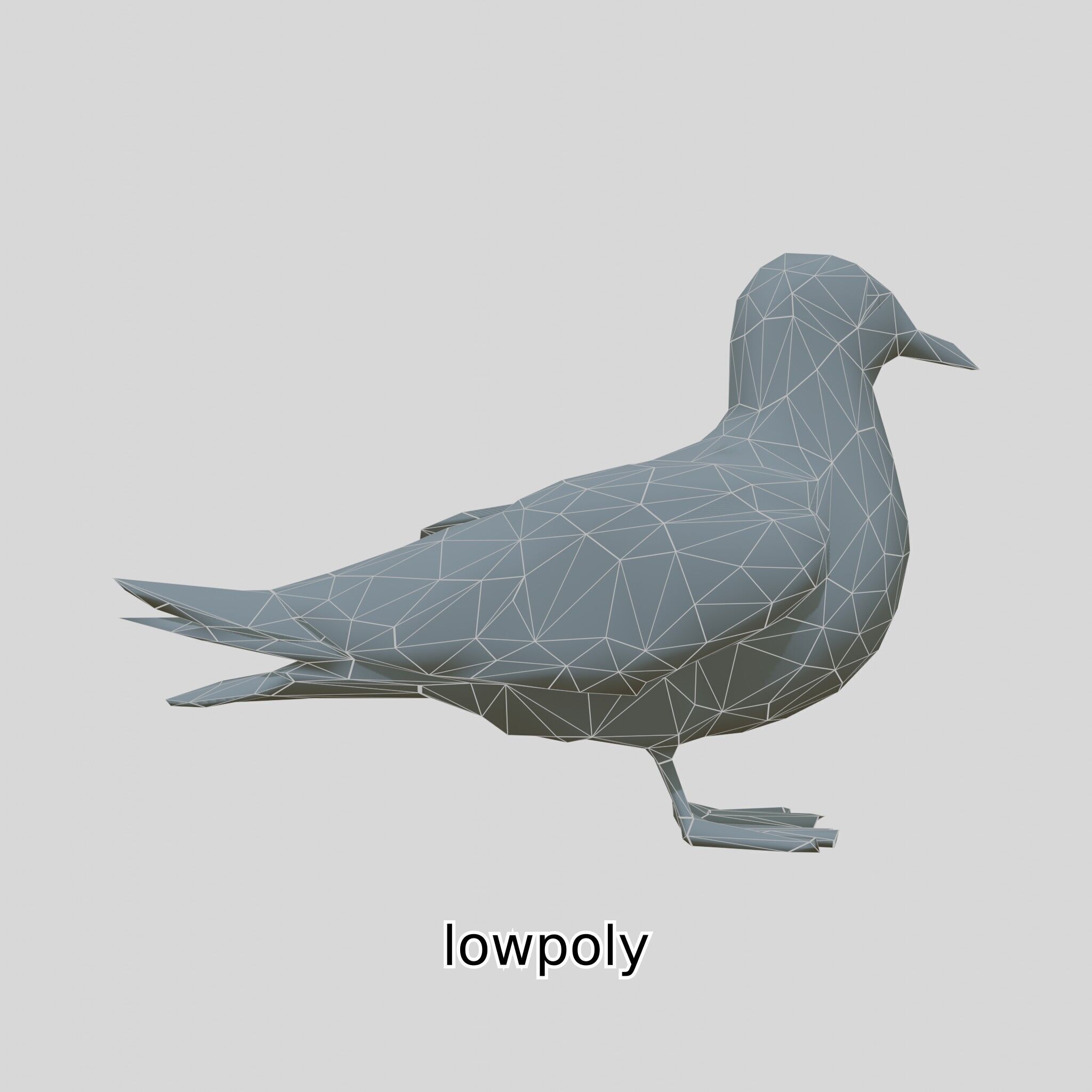 3D Realistic Seagull Bird Model with PBR Textures Low-poly 3D model_39
