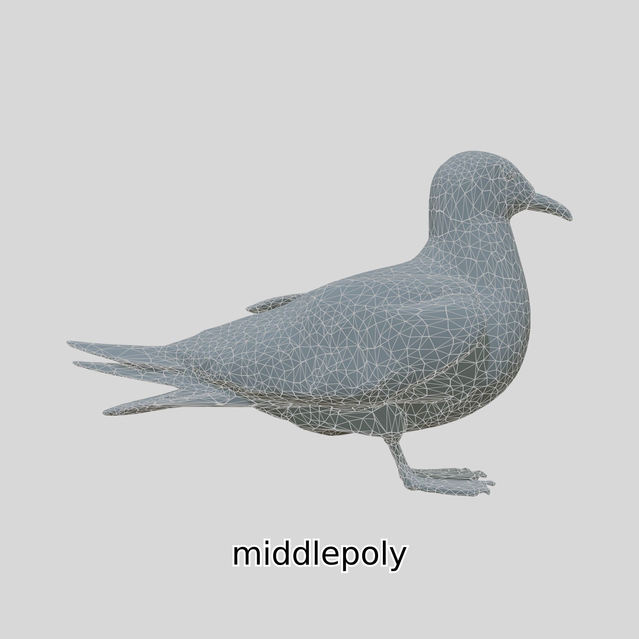 3D Realistic Seagull Bird Model with PBR Textures Low-poly 3D model_12