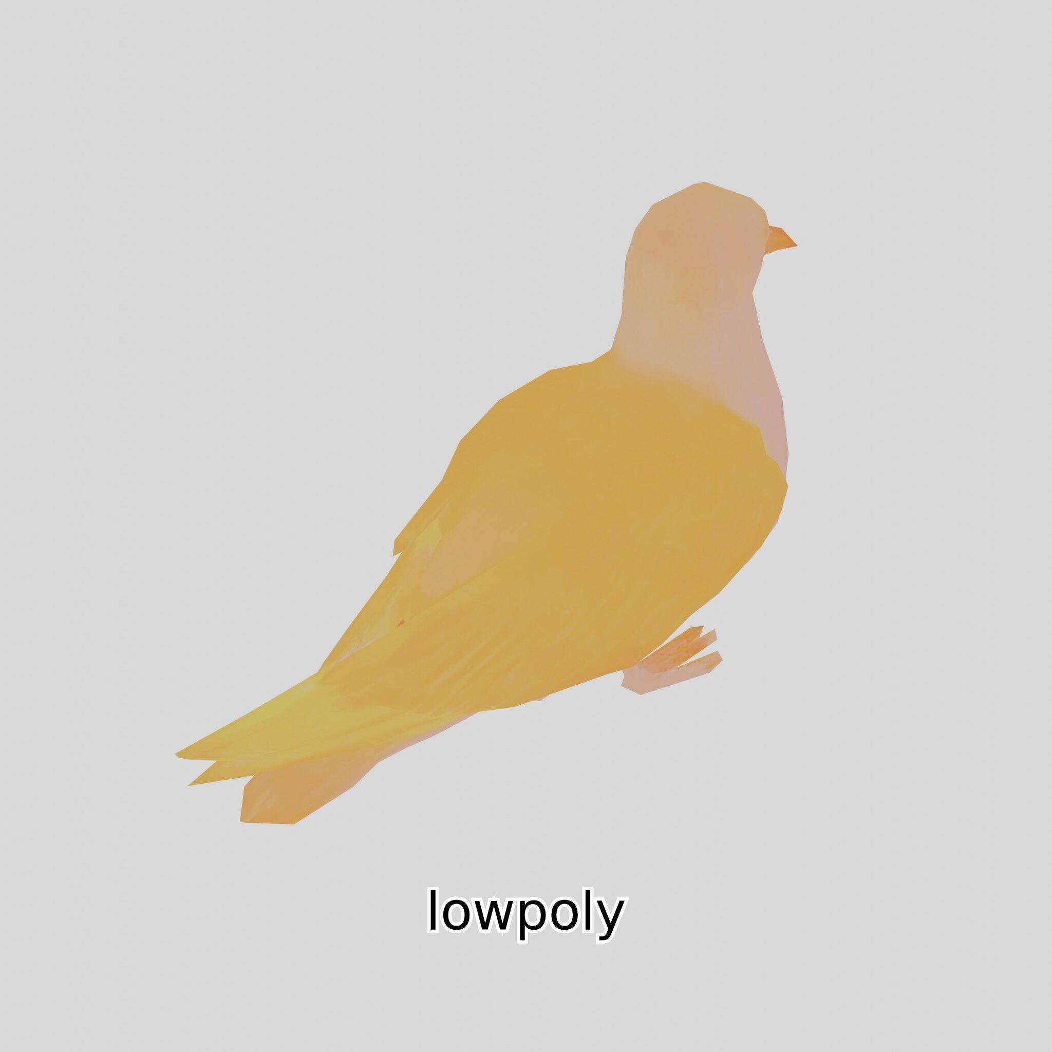 3D Realistic Seagull Bird Model with PBR Textures Low-poly 3D model_5