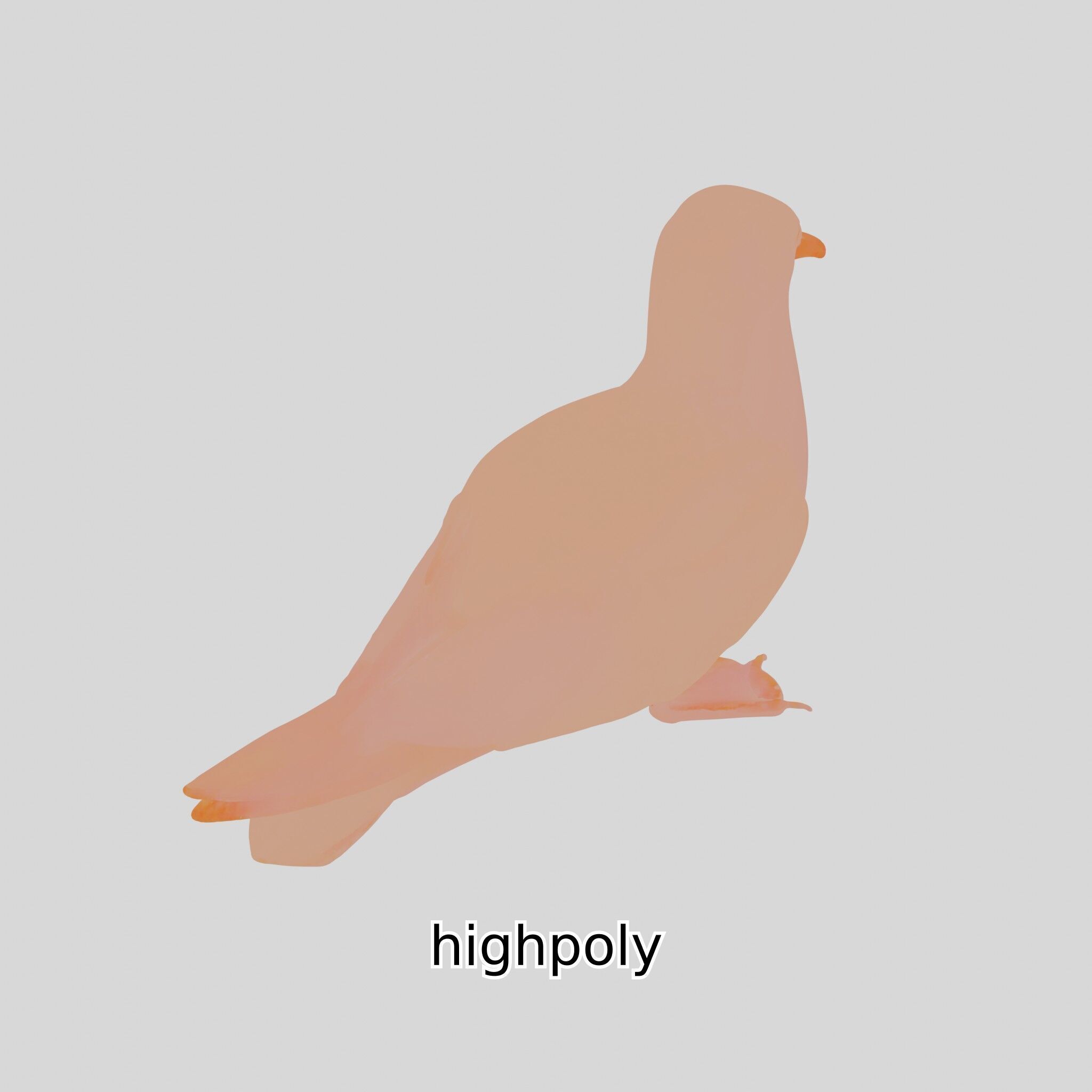 3D Realistic Seagull Bird Model with PBR Textures Low-poly 3D model_32