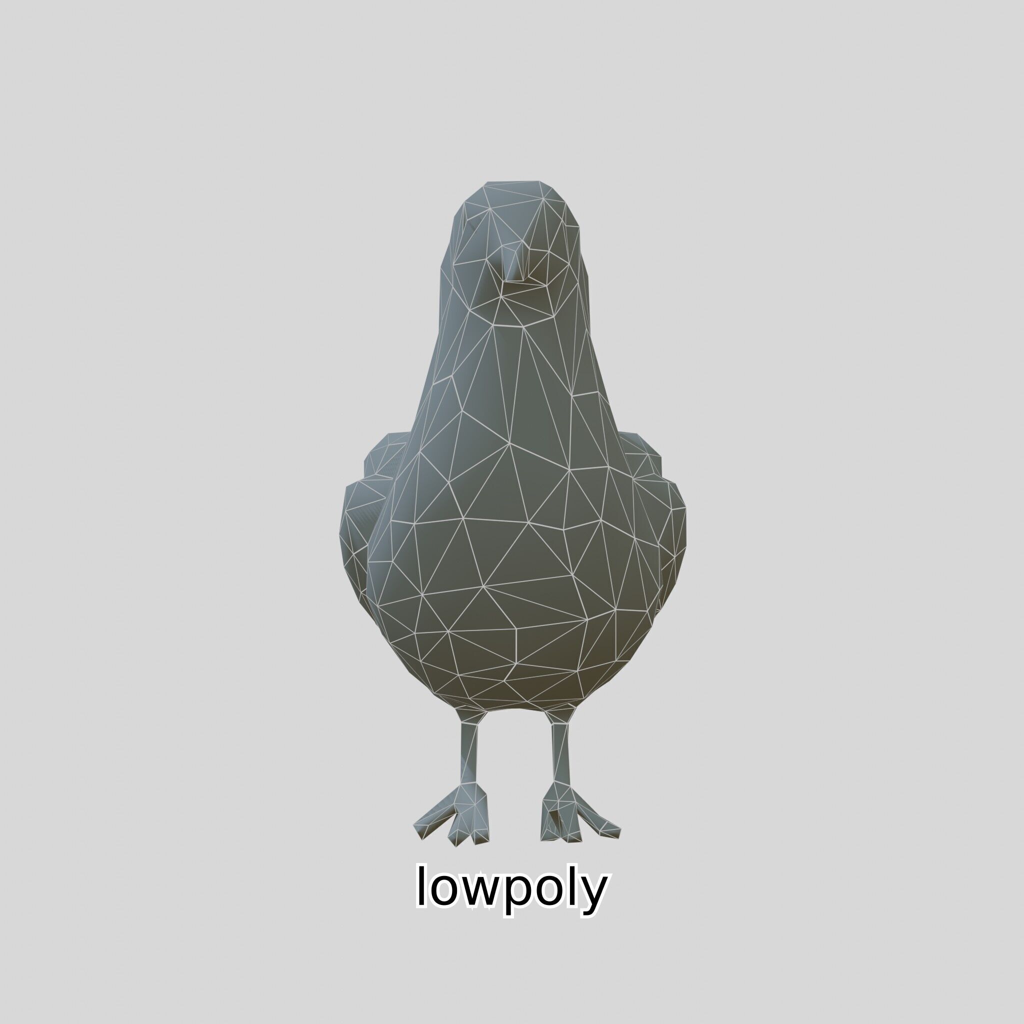 3D Realistic Seagull Bird Model with PBR Textures Low-poly 3D model_40