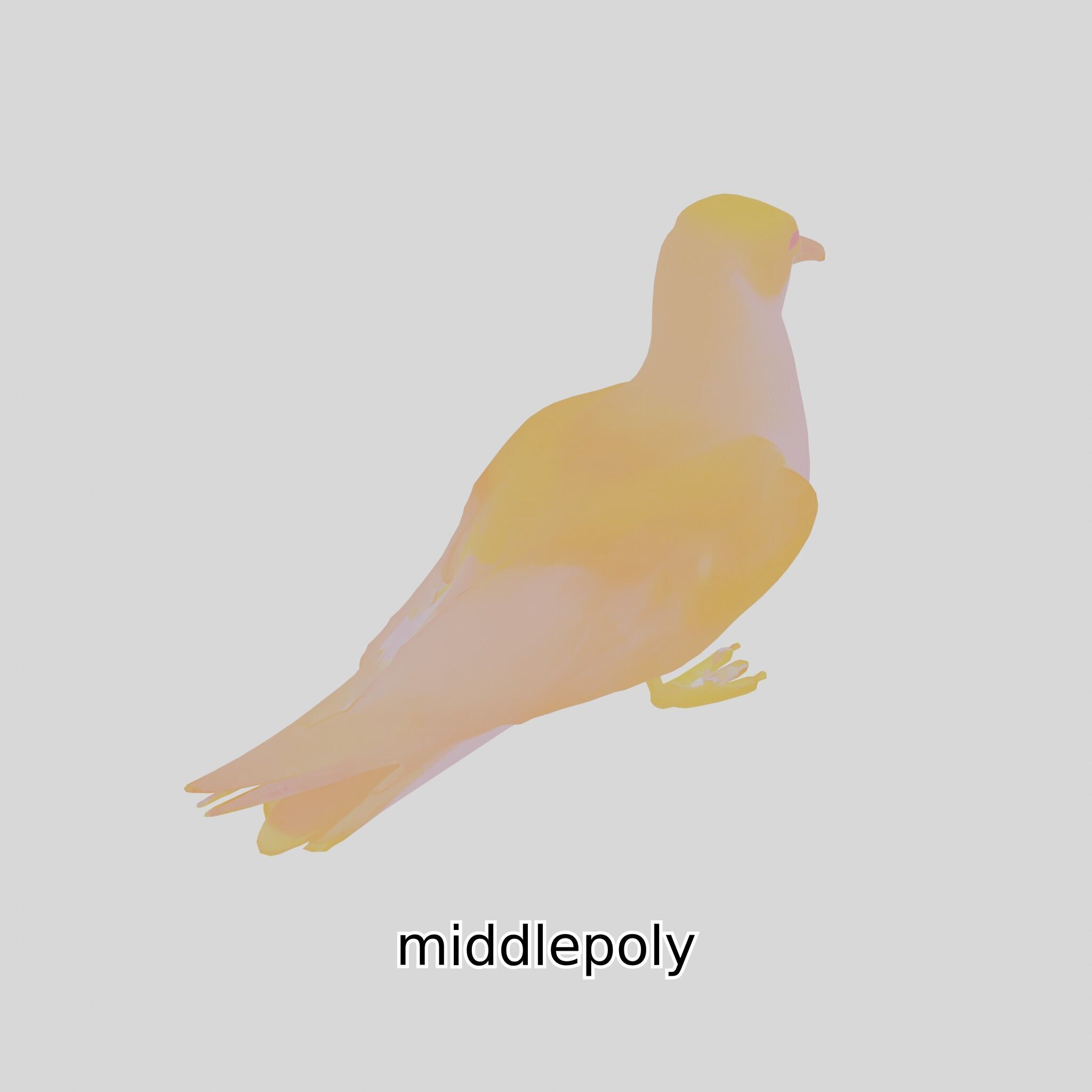 3D Realistic Seagull Bird Model with PBR Textures Low-poly 3D model_18