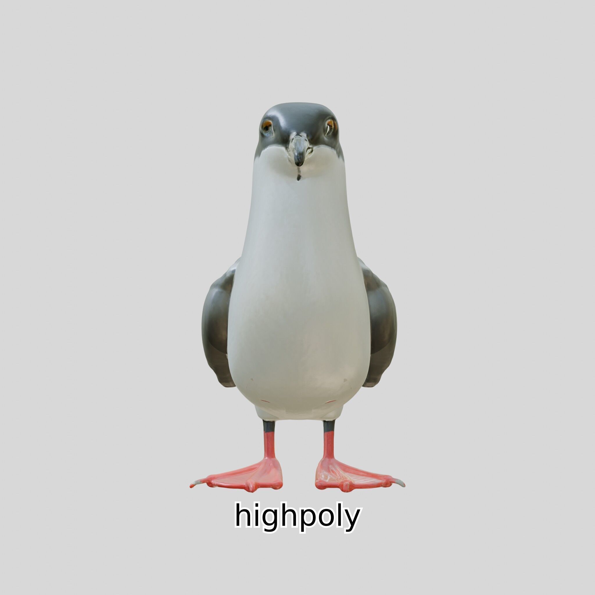 3D Realistic Seagull Bird Model with PBR Textures Low-poly 3D model_24