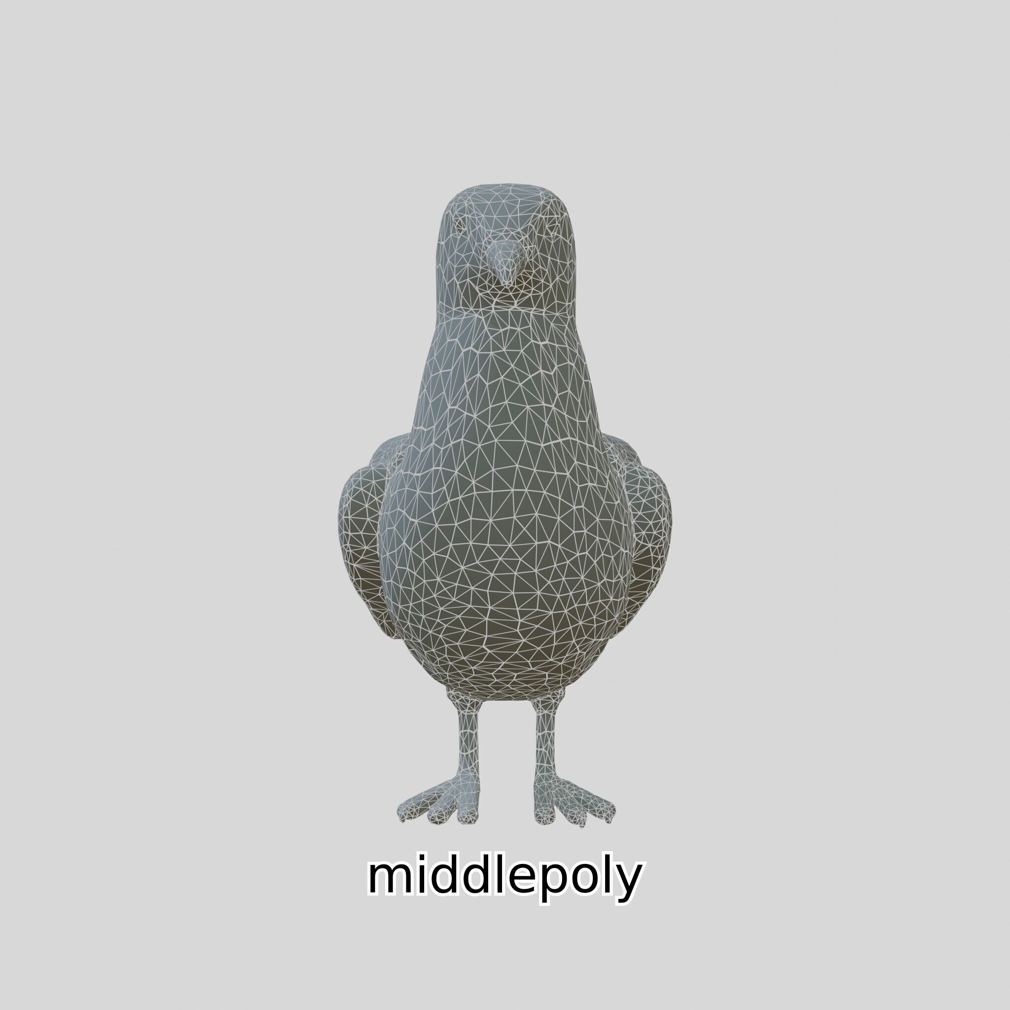3D Realistic Seagull Bird Model with PBR Textures Low-poly 3D model_13