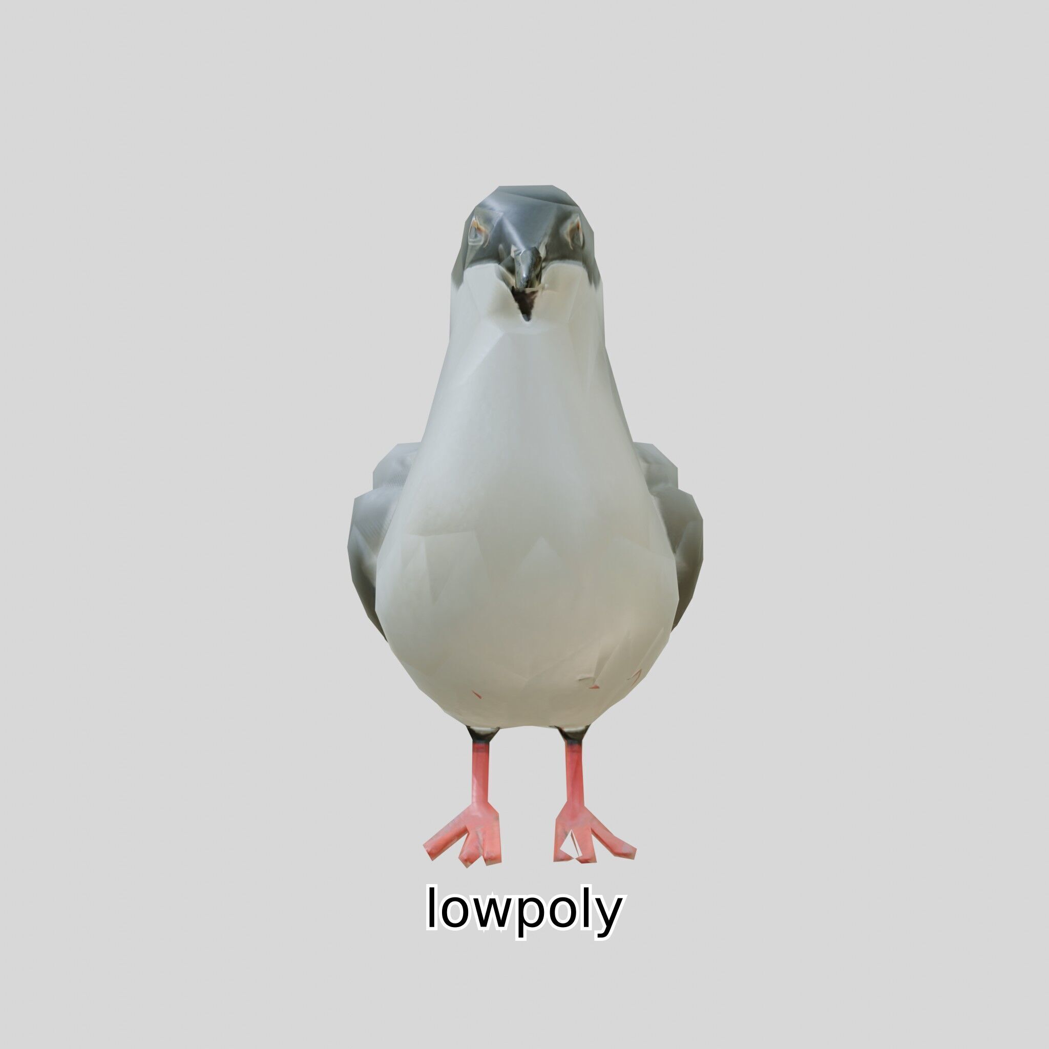 3D Realistic Seagull Bird Model with PBR Textures Low-poly 3D model_33