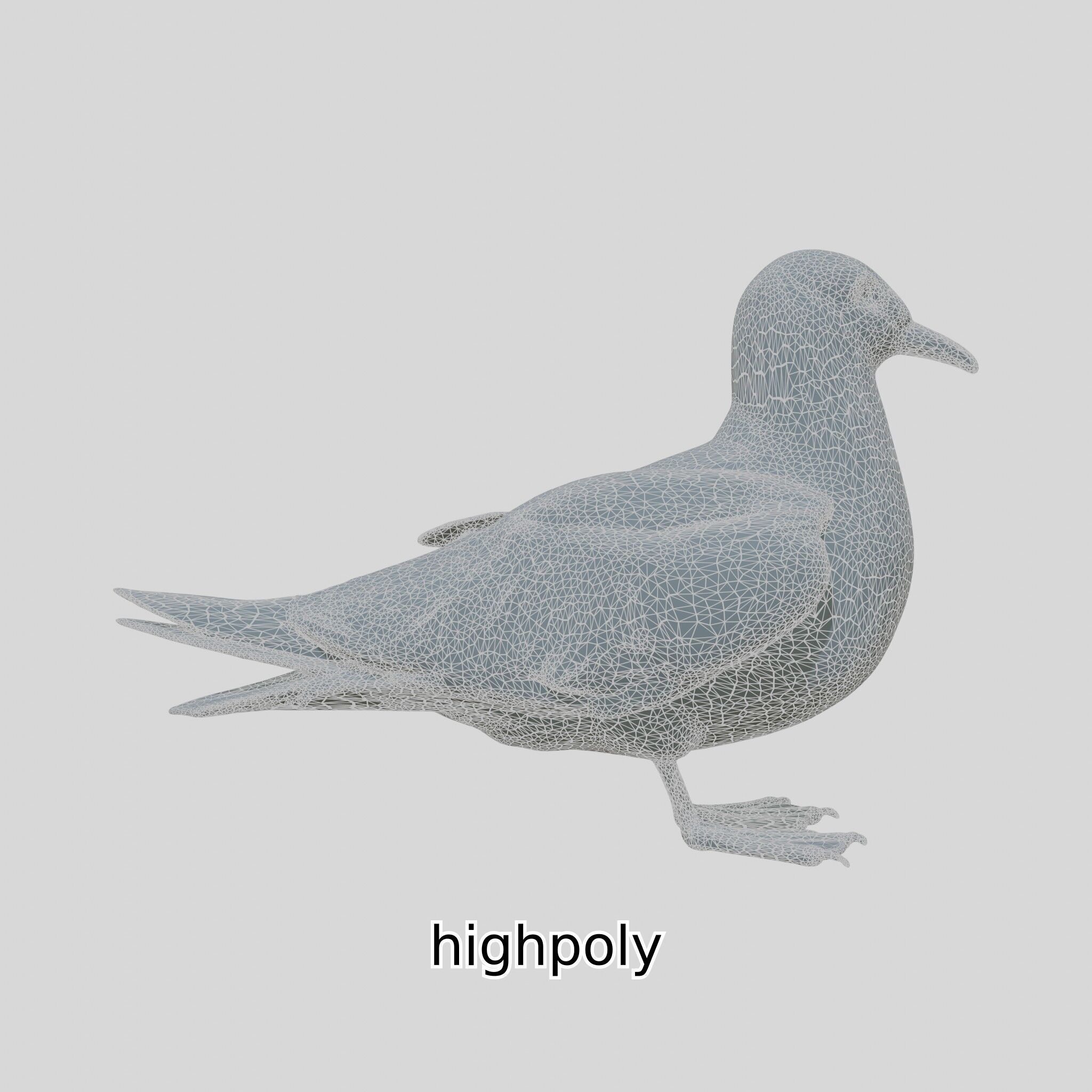 3D Realistic Seagull Bird Model with PBR Textures Low-poly 3D model_27