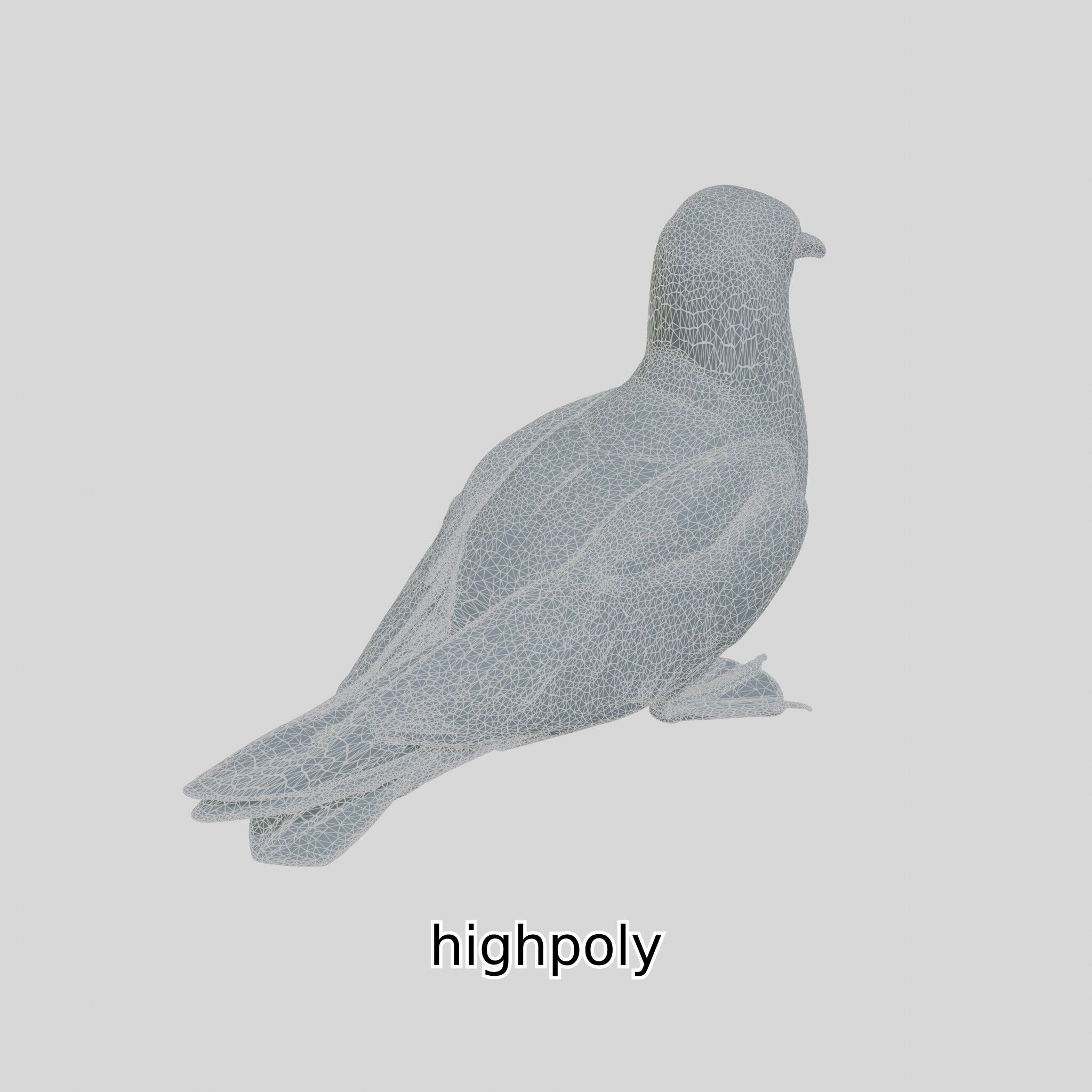 3D Realistic Seagull Bird Model with PBR Textures Low-poly 3D model_29