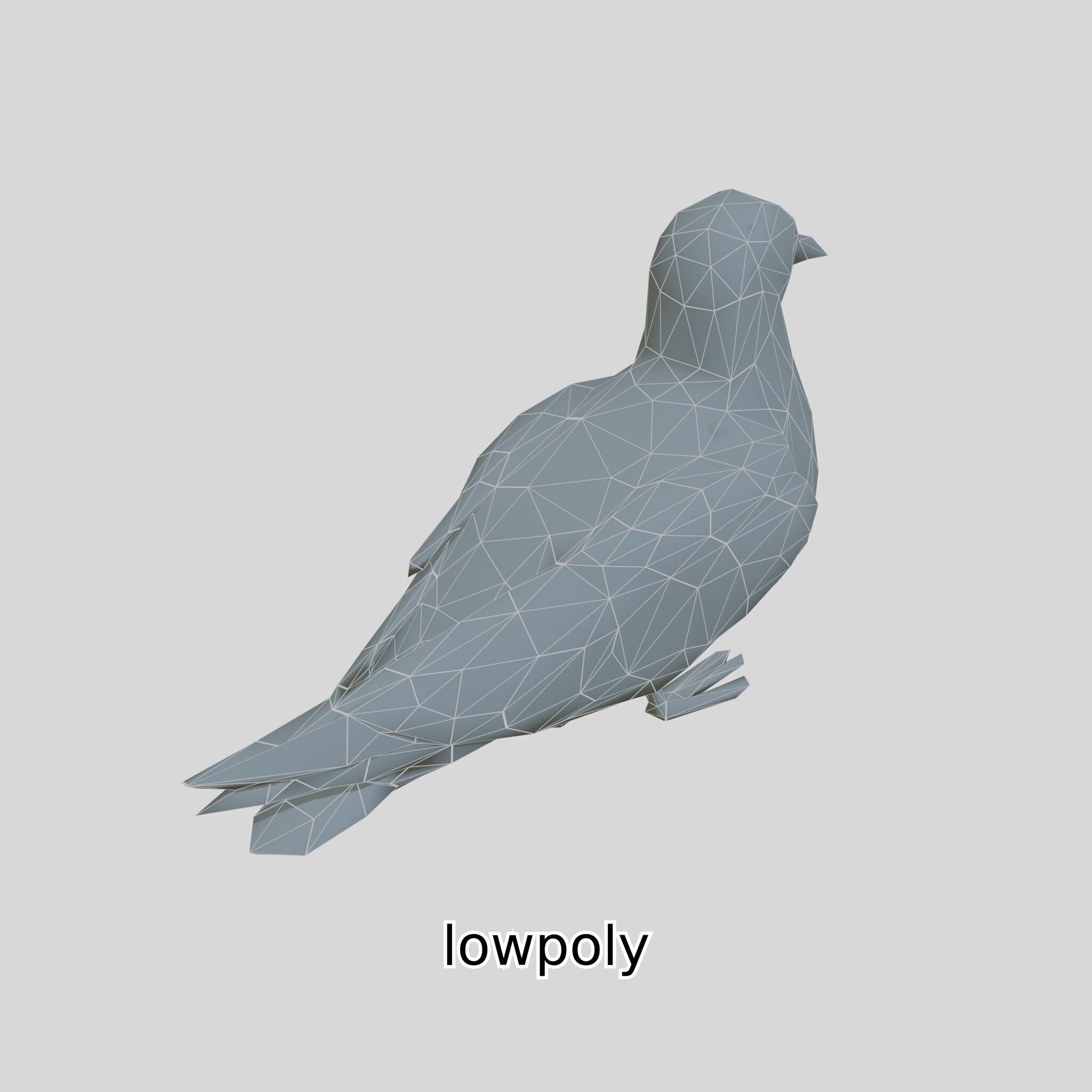 3D Realistic Seagull Bird Model with PBR Textures Low-poly 3D model_41