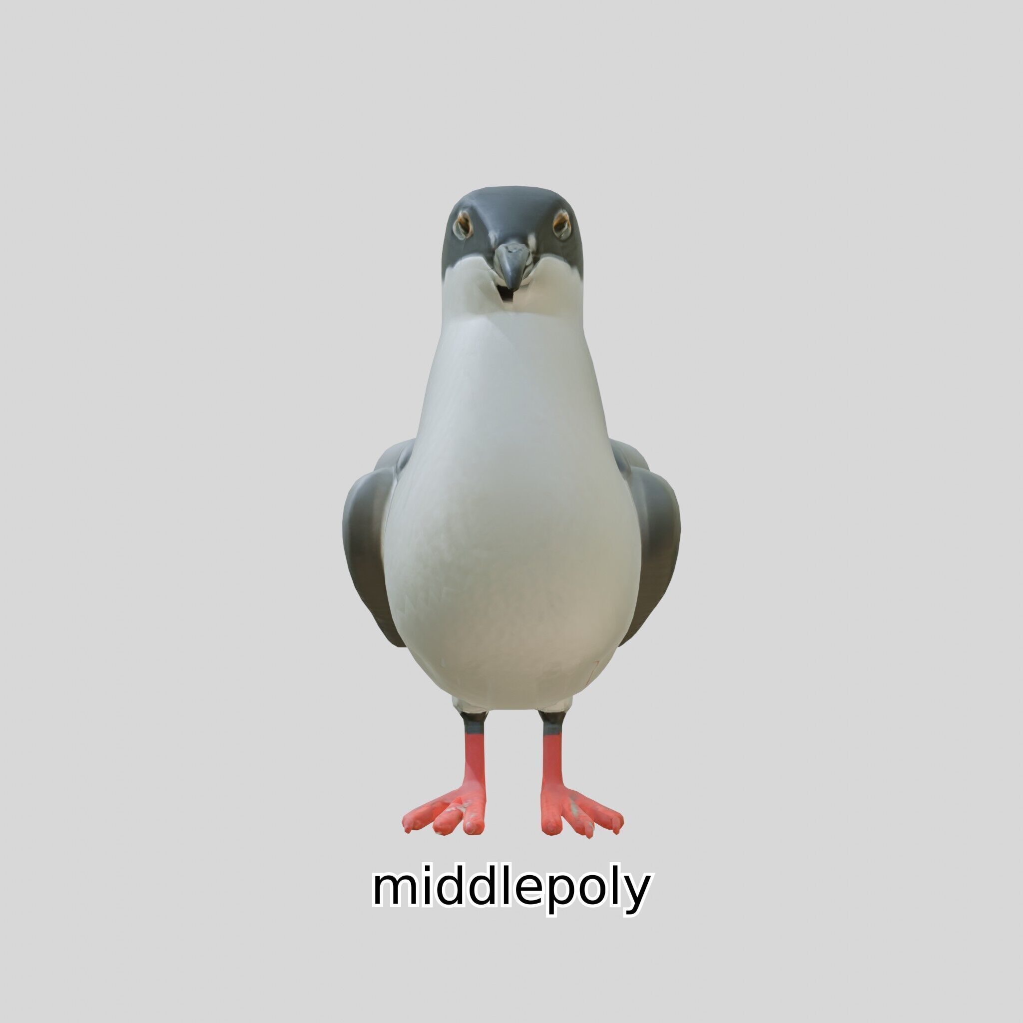 3D Realistic Seagull Bird Model with PBR Textures Low-poly 3D model_8